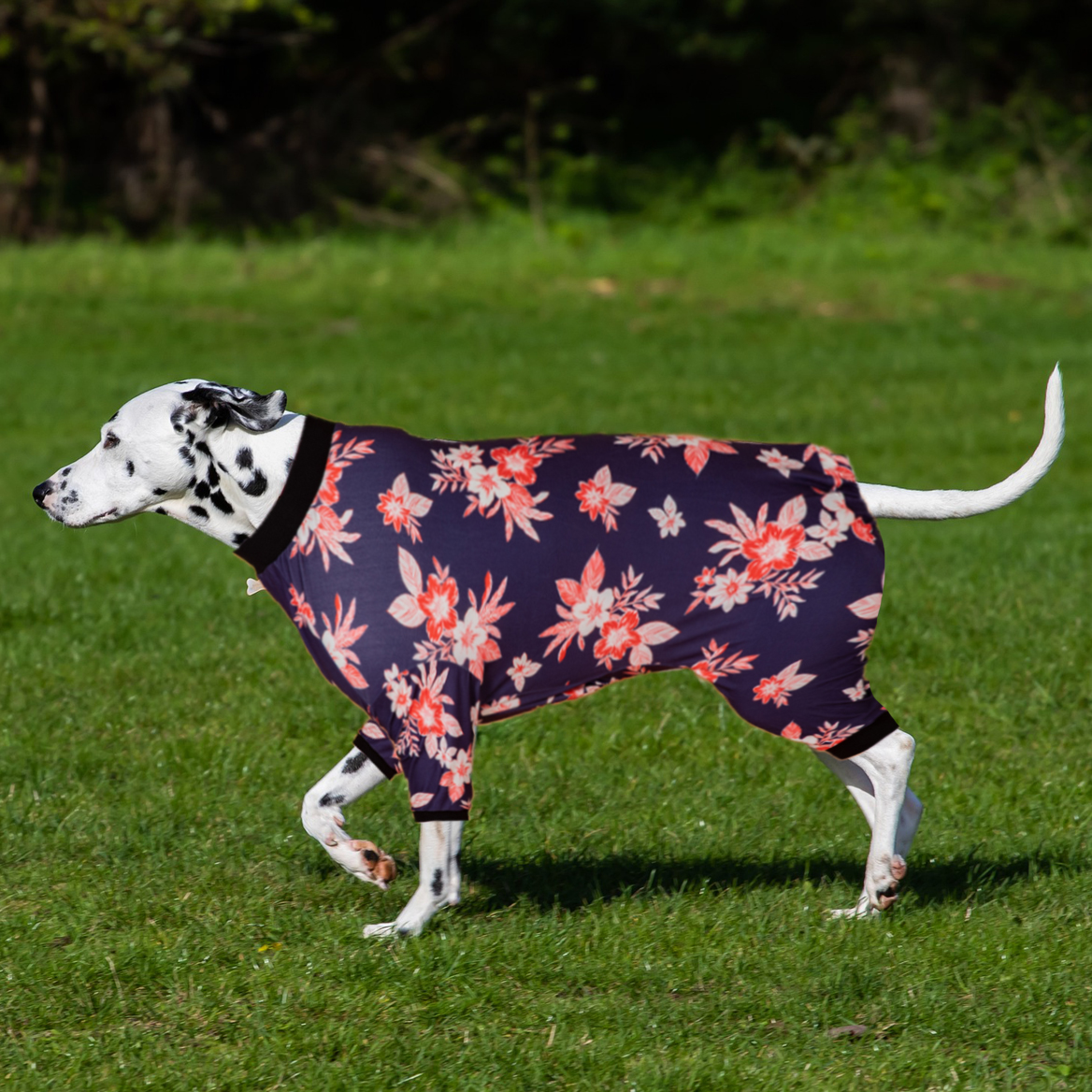 LovinPet Dog Recovery Bodysuit Pajama - Dark Teal with Red Wildflower Pattern