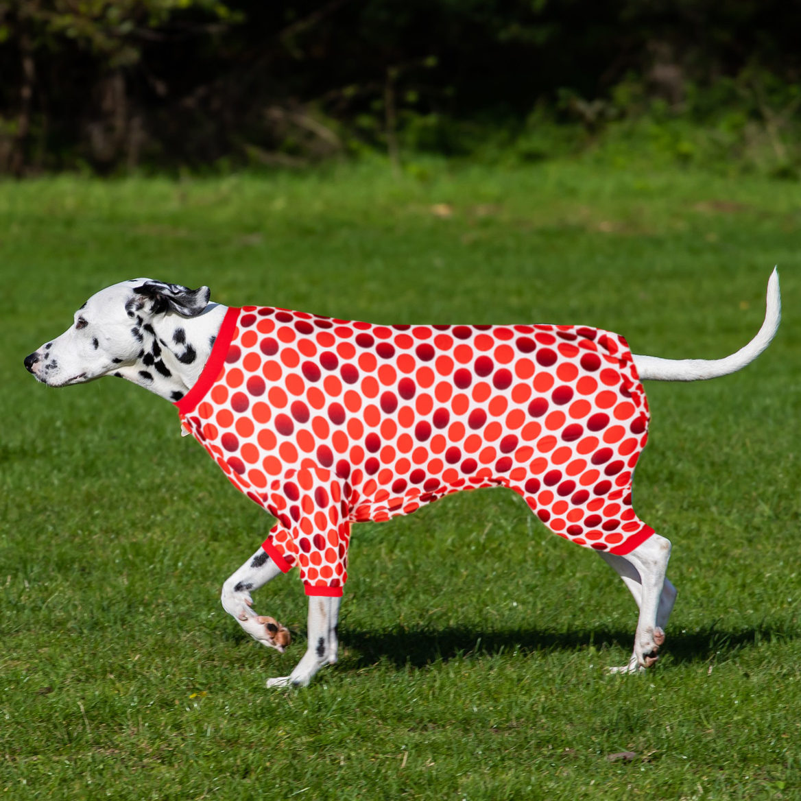 LovinPet Large Dog Pajamas Onesie - Black & Red Polka Dot Pattern