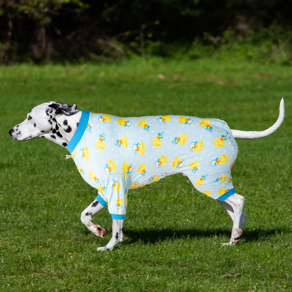 LovinPet Large Dog Post Recovery Suit - Playful Rubber Duck Design on Light Blue Background
