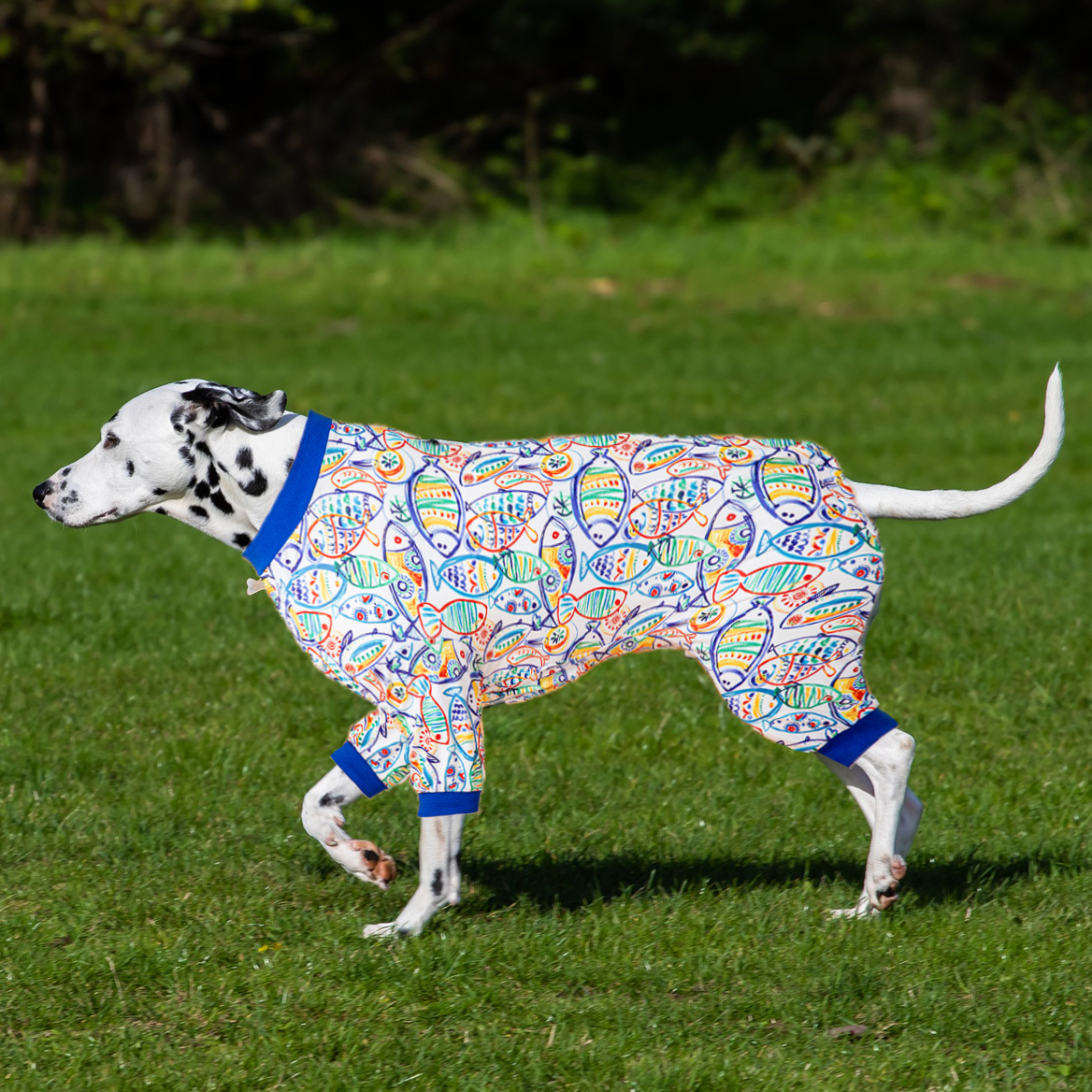 LovinPet Large Dog Post Recovery Suit - Vibrant Fish Design with Navy Trim