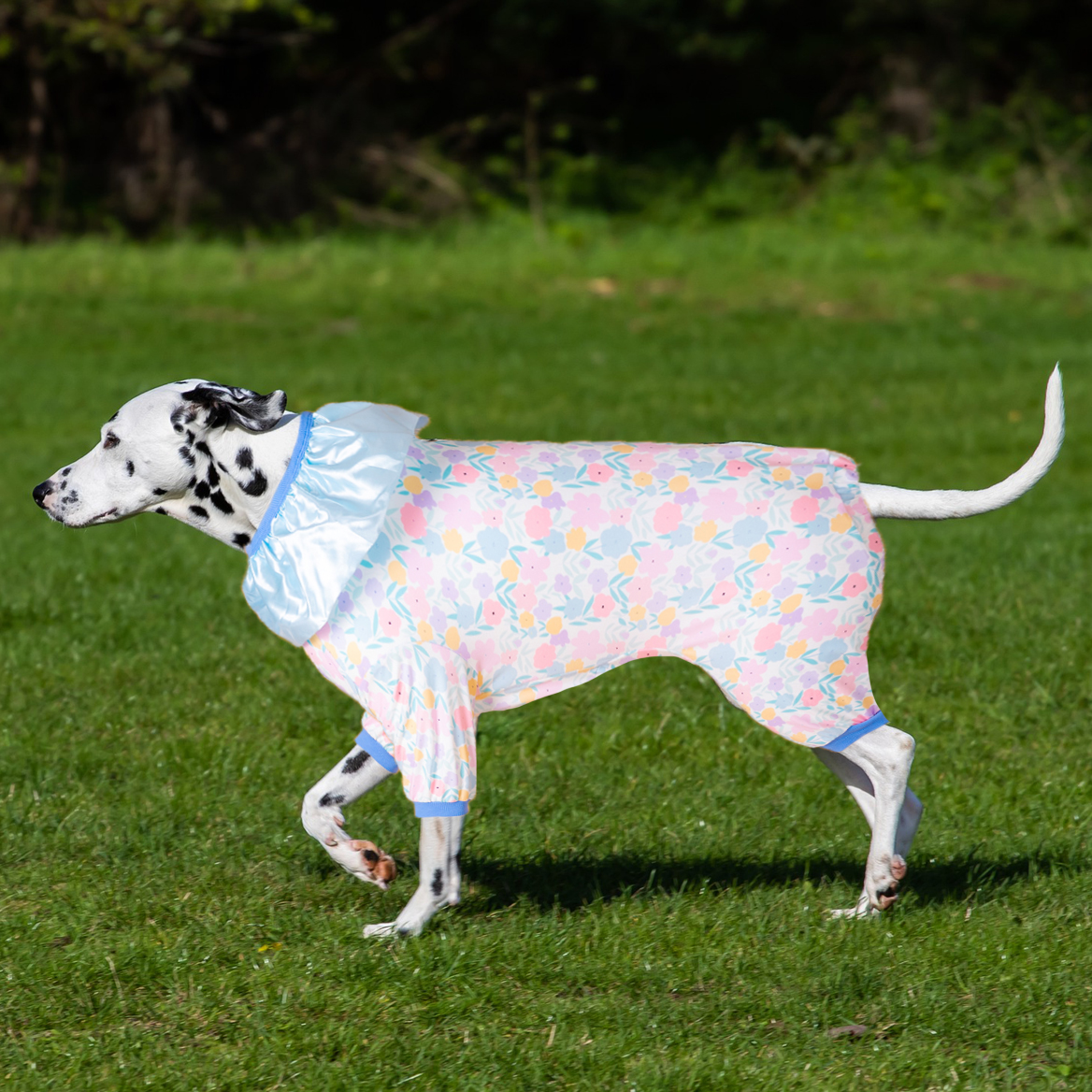 LovinPet Full-Body Belly Protection Large Dog Pajama Onesie for Post-Surgery Recovery