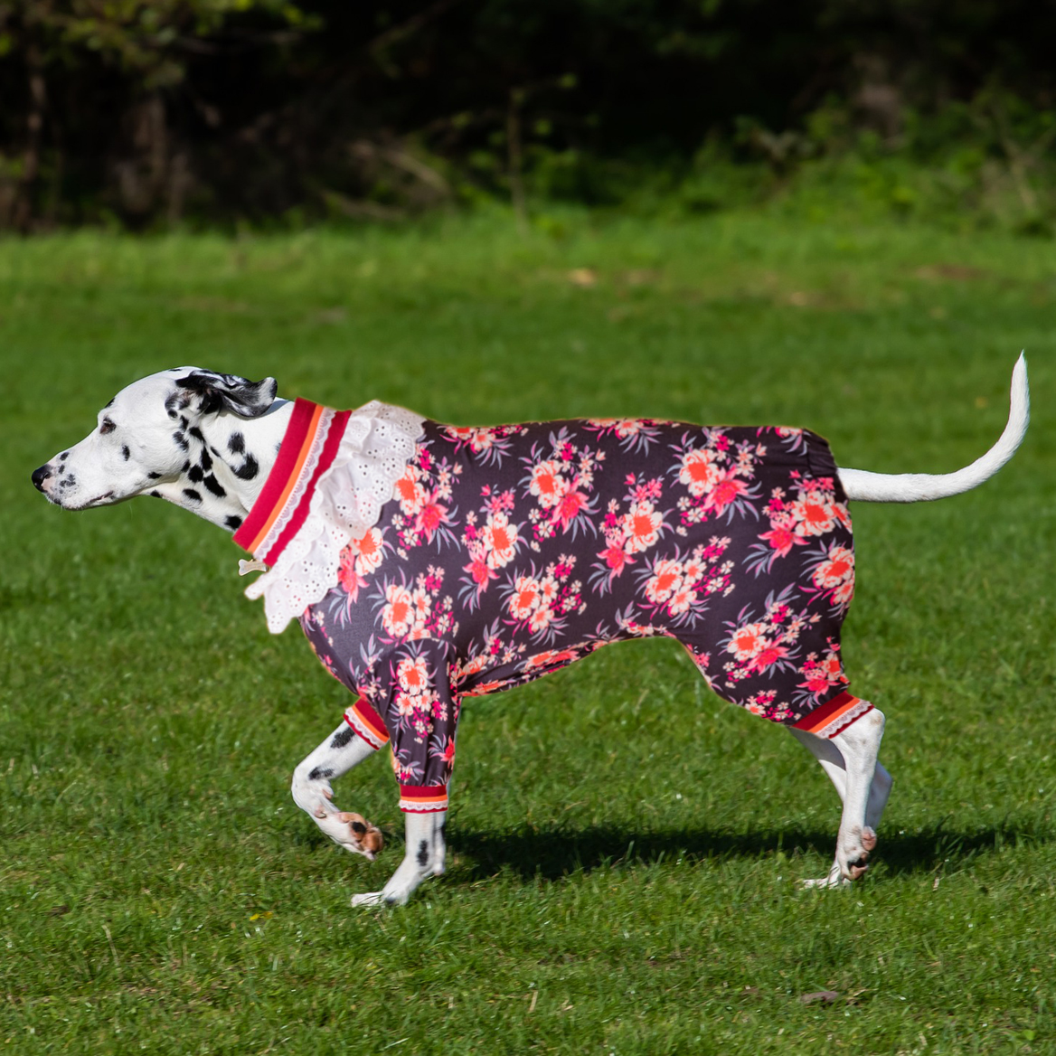 LovinPet Large Dog Pajamas Onesie Ruffled Collar - Vintage Floral Sleepwear with Lace and Frill Accents for Large Breeds