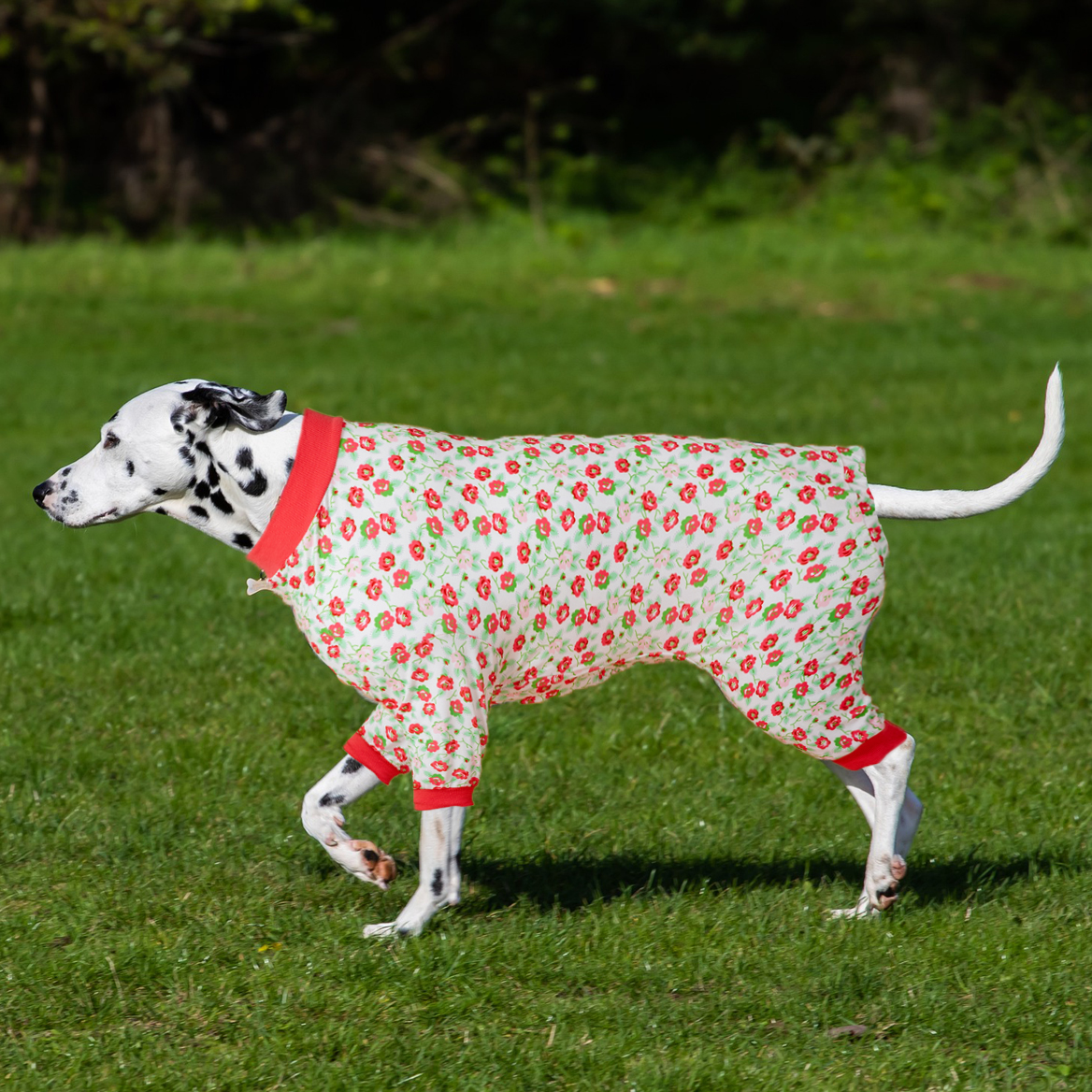LovinPet Dog Recovery Onesie - Pink Rose Pattern