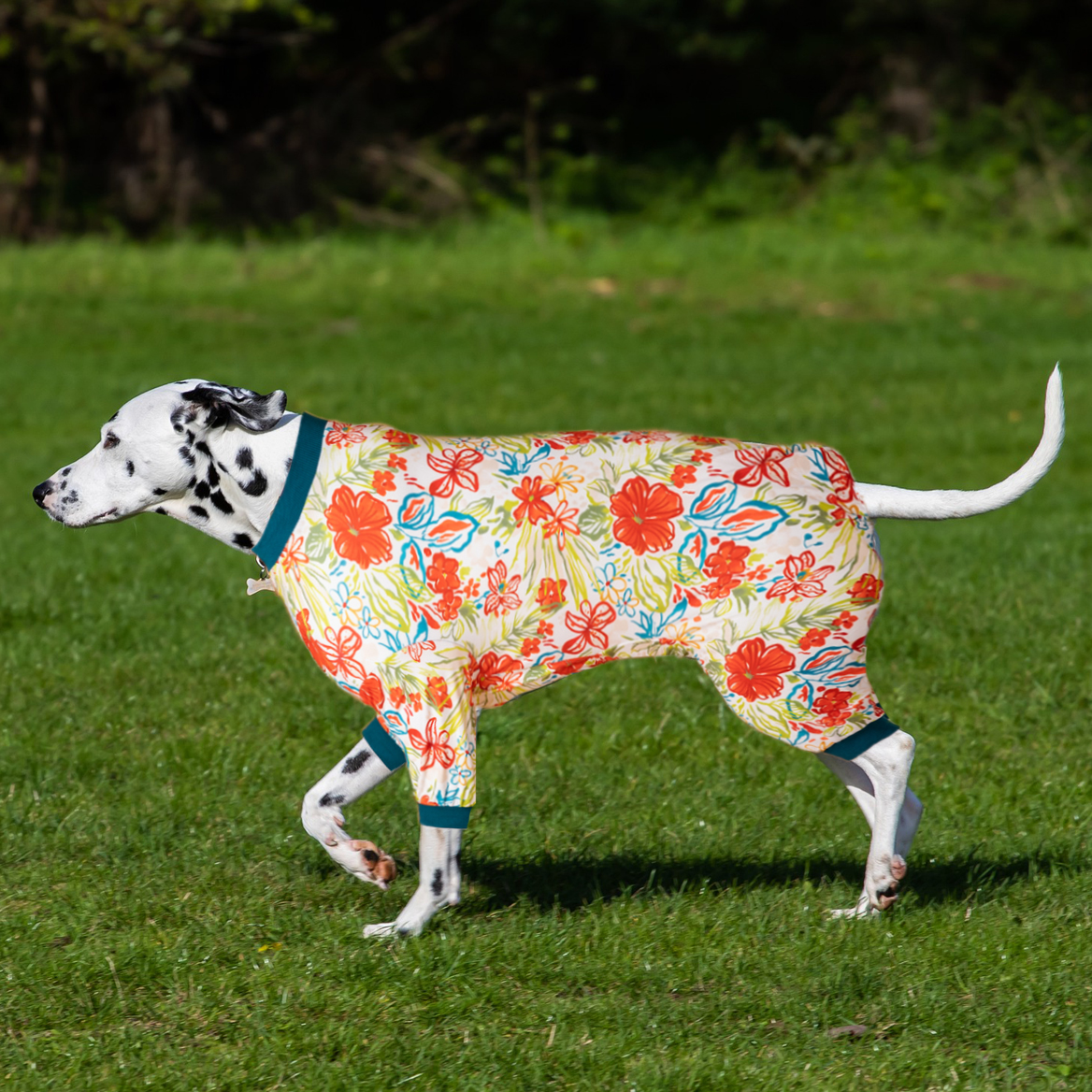 Wild Floral Pattern Dog Recovery Suit Full-Body Post-Surgery Comfort