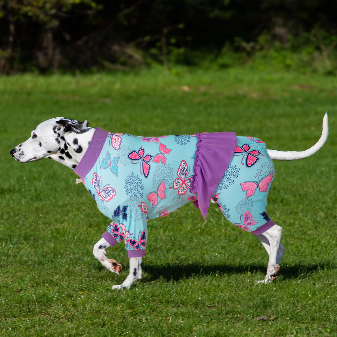 Big Dog Recovery Onesie Pajama with Skirt - Butterfly Print