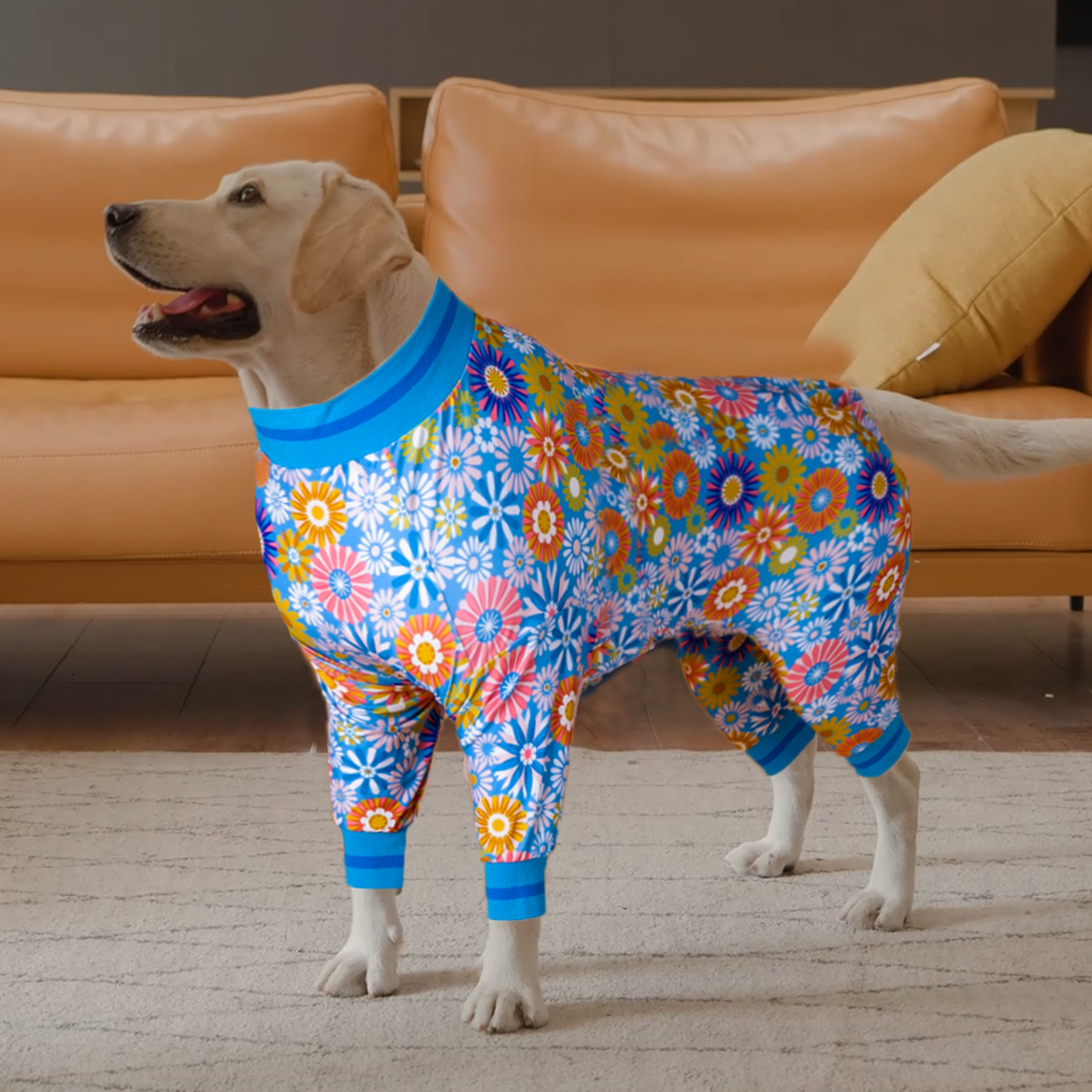 LovinPet Large Dog Post Recovery Suit - Abstract Oil Painting Floral Pattern