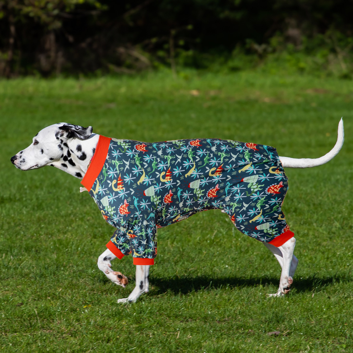 LovinPet Large Dog Pajamas Onesie - Dinosaur & Flower Design