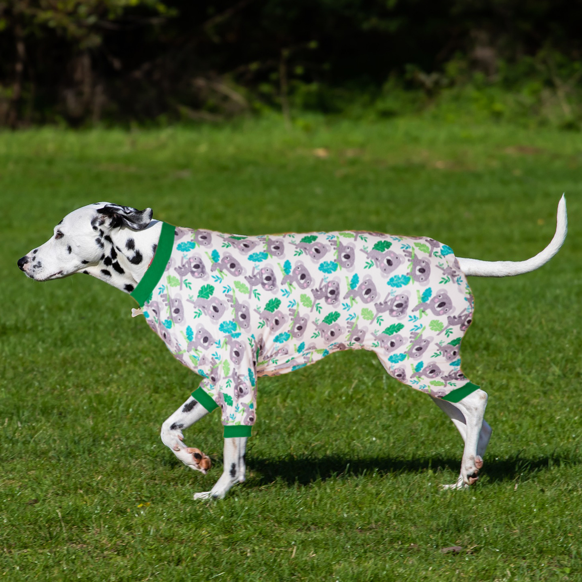 LovinPet Large Dog Post Recovery Suit - Adorable Koala and Leaf Design with Green Trim