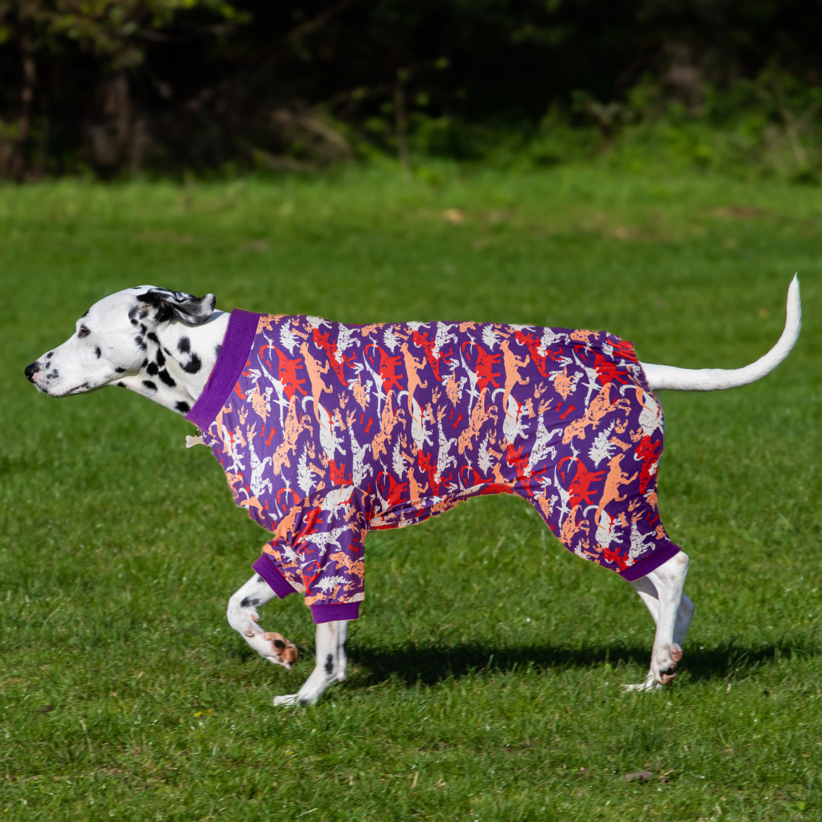 LovinPet Large Dog Pajamas Onesie -  Prehistoric World Dinosaur Adventure Design