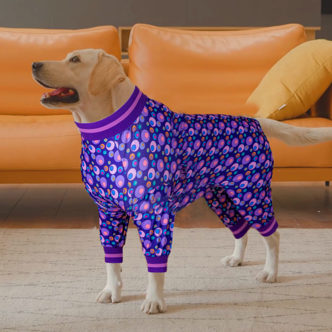 Purple Polka Dot Dog Recovery Suit | Comfortable Post-Surgery Protection