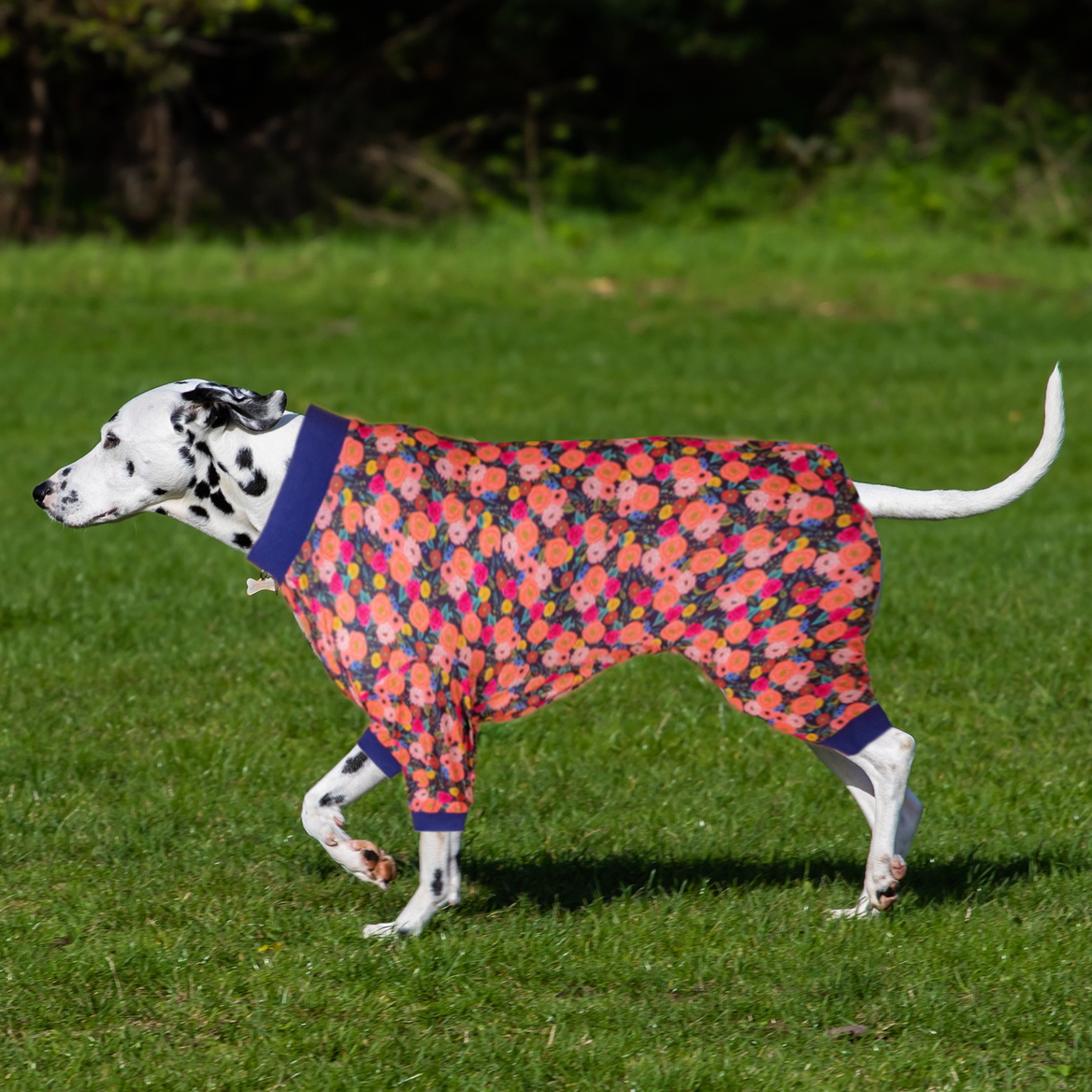 LovinPet Abstract Wildflower Design Full-Body Dog Recovery Onesie