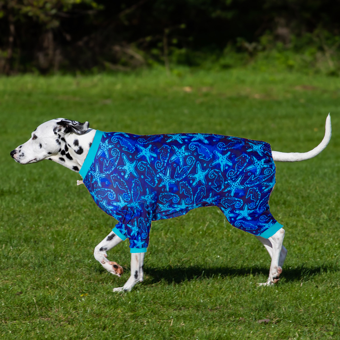 LovinPet Large Dog Pajamas Onesie - Marine Starfish Design in Blue and Teal