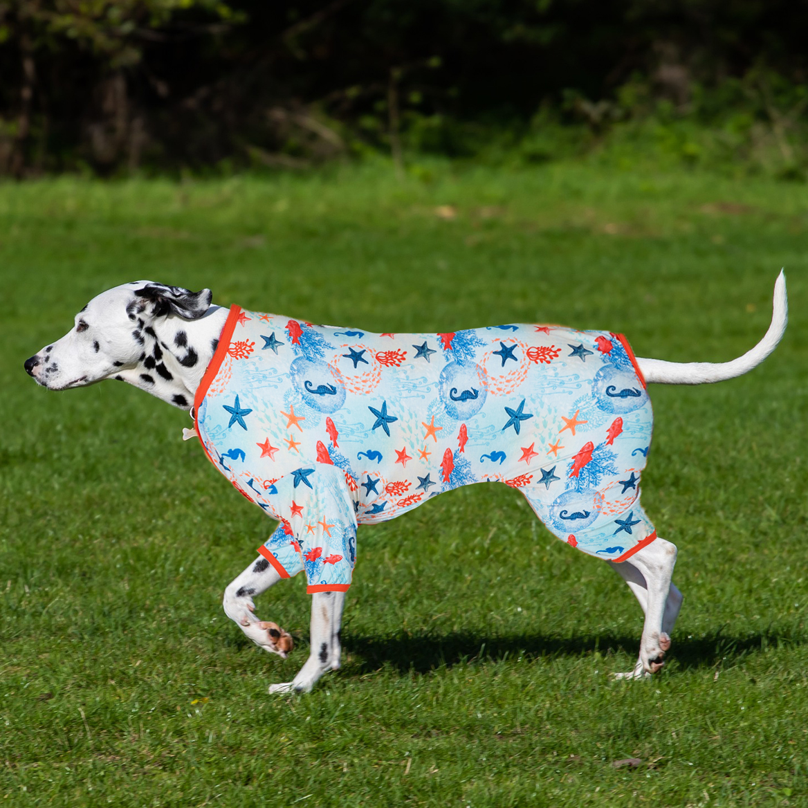 Big Dog Recovery Suit Pajama Onesie - Underwater World Design