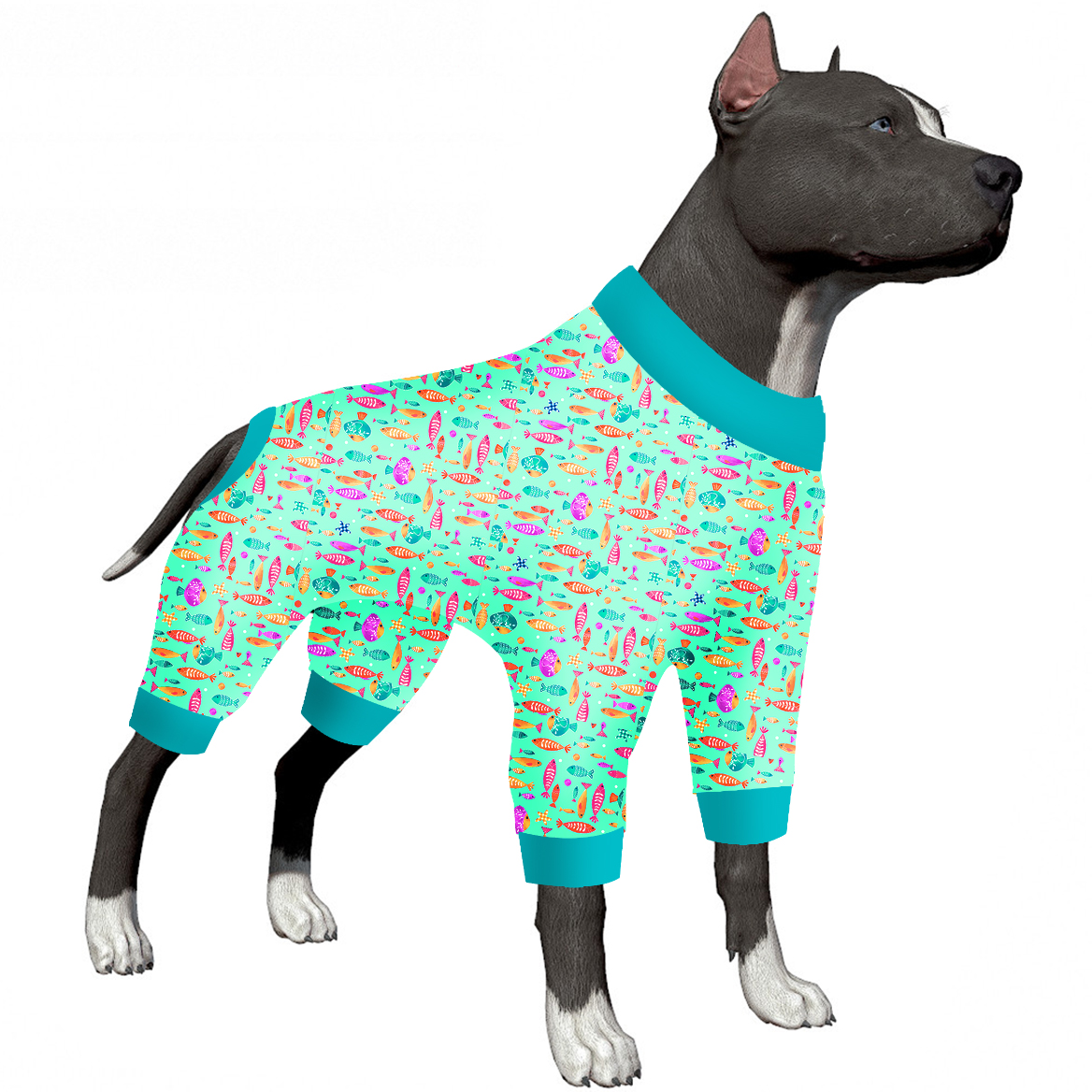 LovinPet Large Dog Post Recovery Suit - Playful Fish Design on Turquoise Background