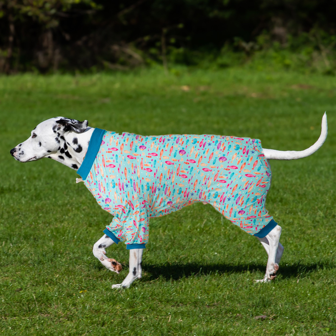 LovinPet Large Dog Post Recovery Suit - Playful Fish Design on Turquoise Background