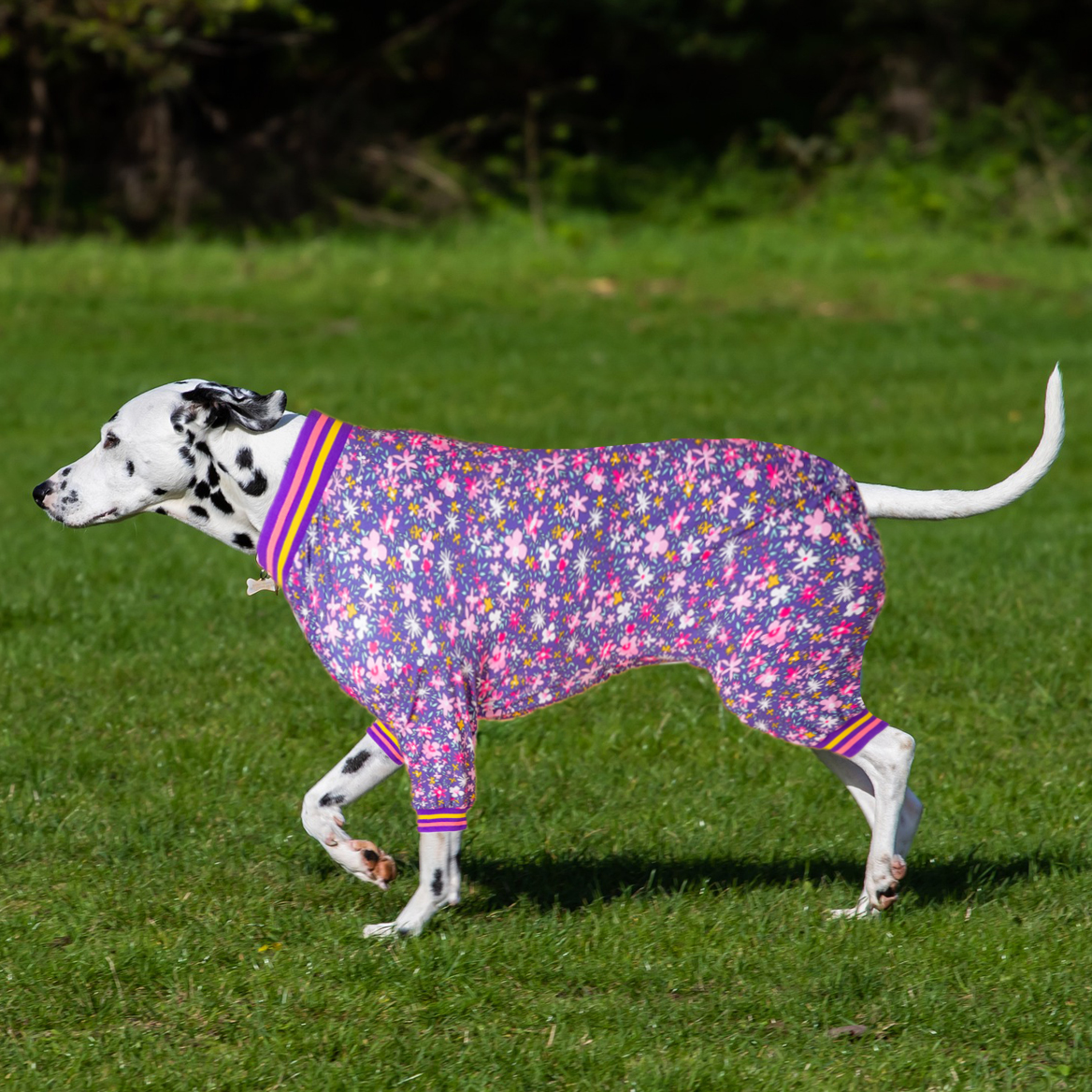 LovinPet Large Dog Post Recovery Suit - Bold Floral with Purple & Yellow Striped Accents