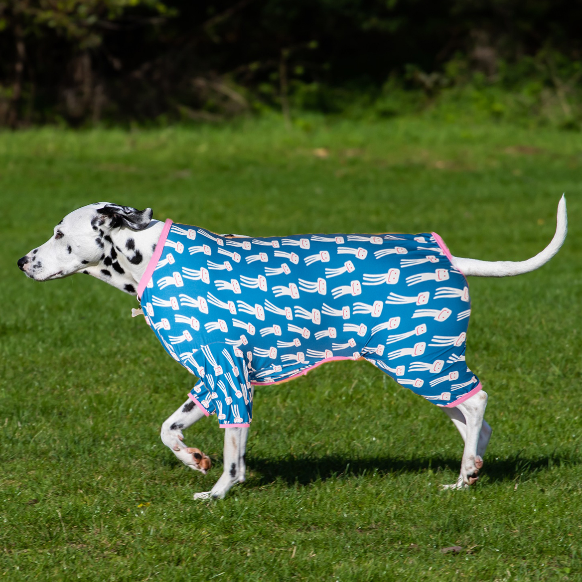 LovinPet Large Dog Pajamas Onesie - Jellyfish Print Design