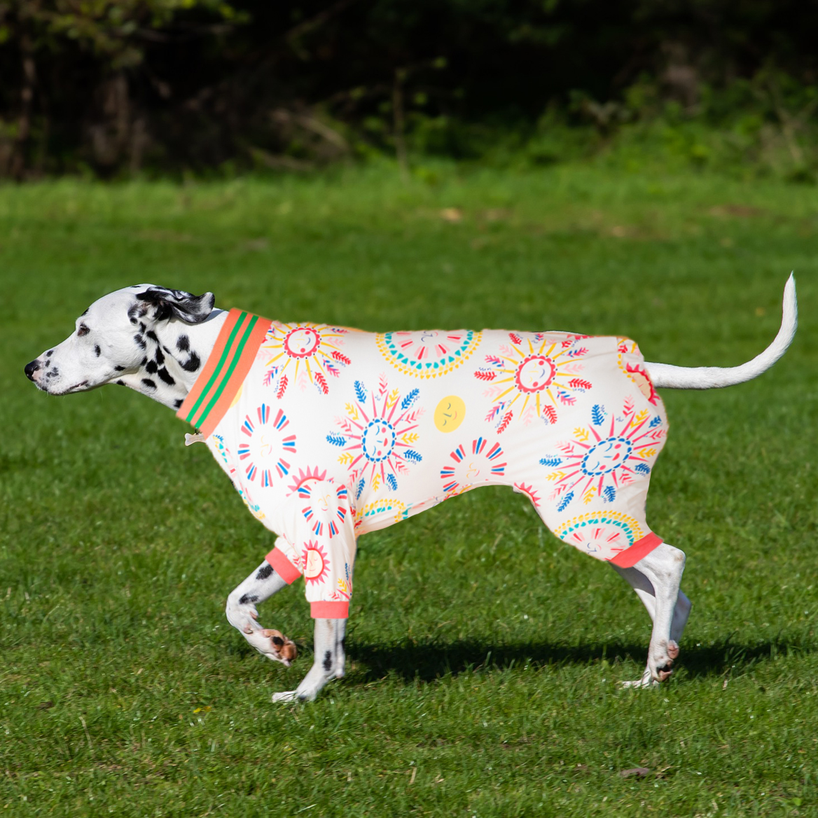 LovinPet Large Dog Post Recovery Suit - Playful Sun and Circle Design with Pink & Green Trim