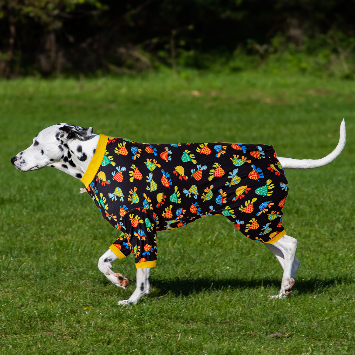 LovinPet Large Dog Post Recovery Suit - Colorful Abstract Fish Design with Yellow Trim