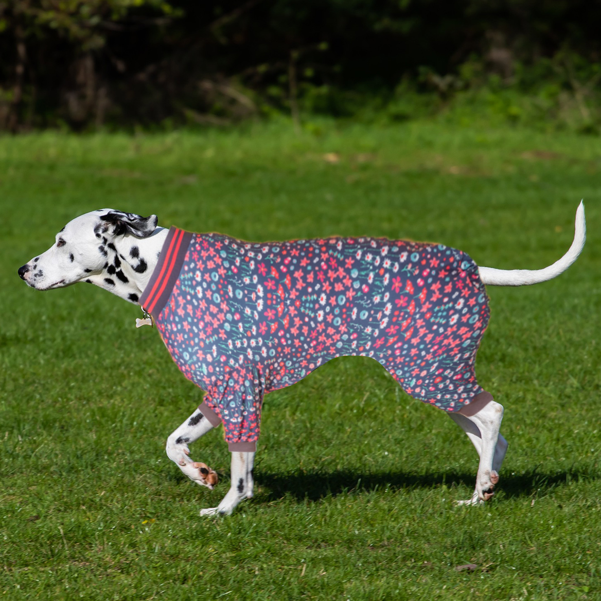LovinPet Dog Recovery Suit Pajama - Dark Floral with Striped Collar