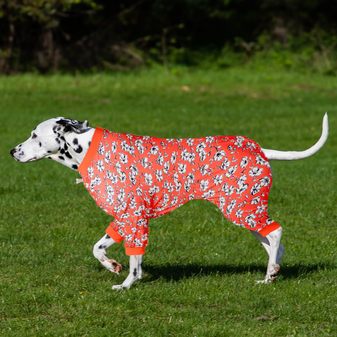 LovinPet Large Dog Post Recovery Suit - Bold Red Floral Design with Black and White Accents