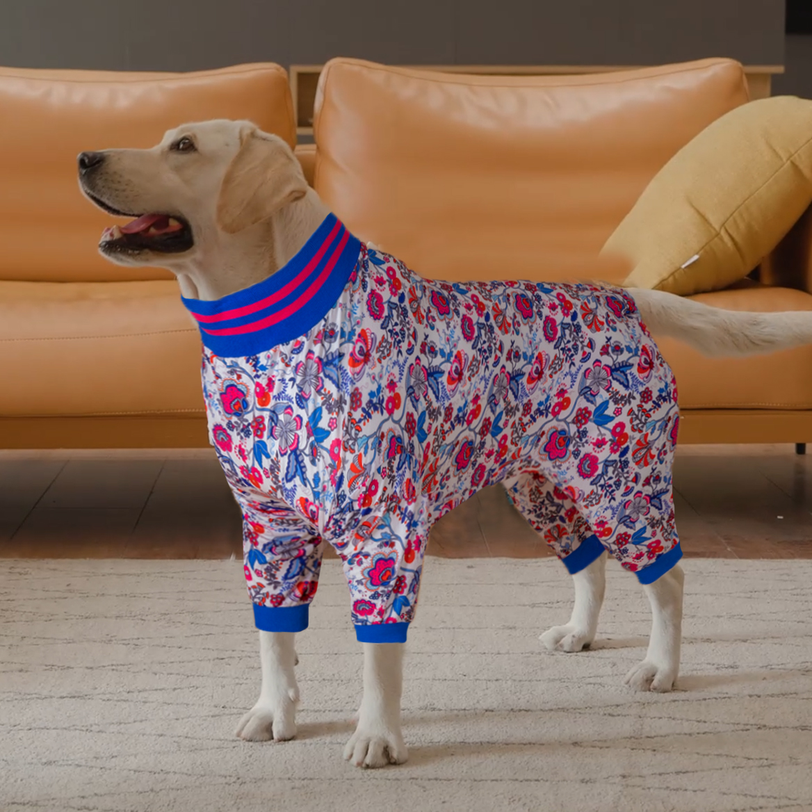 LovinPet Large Dog Post Recovery Suit - Vibrant Floral Design with Blue & Pink Flowers