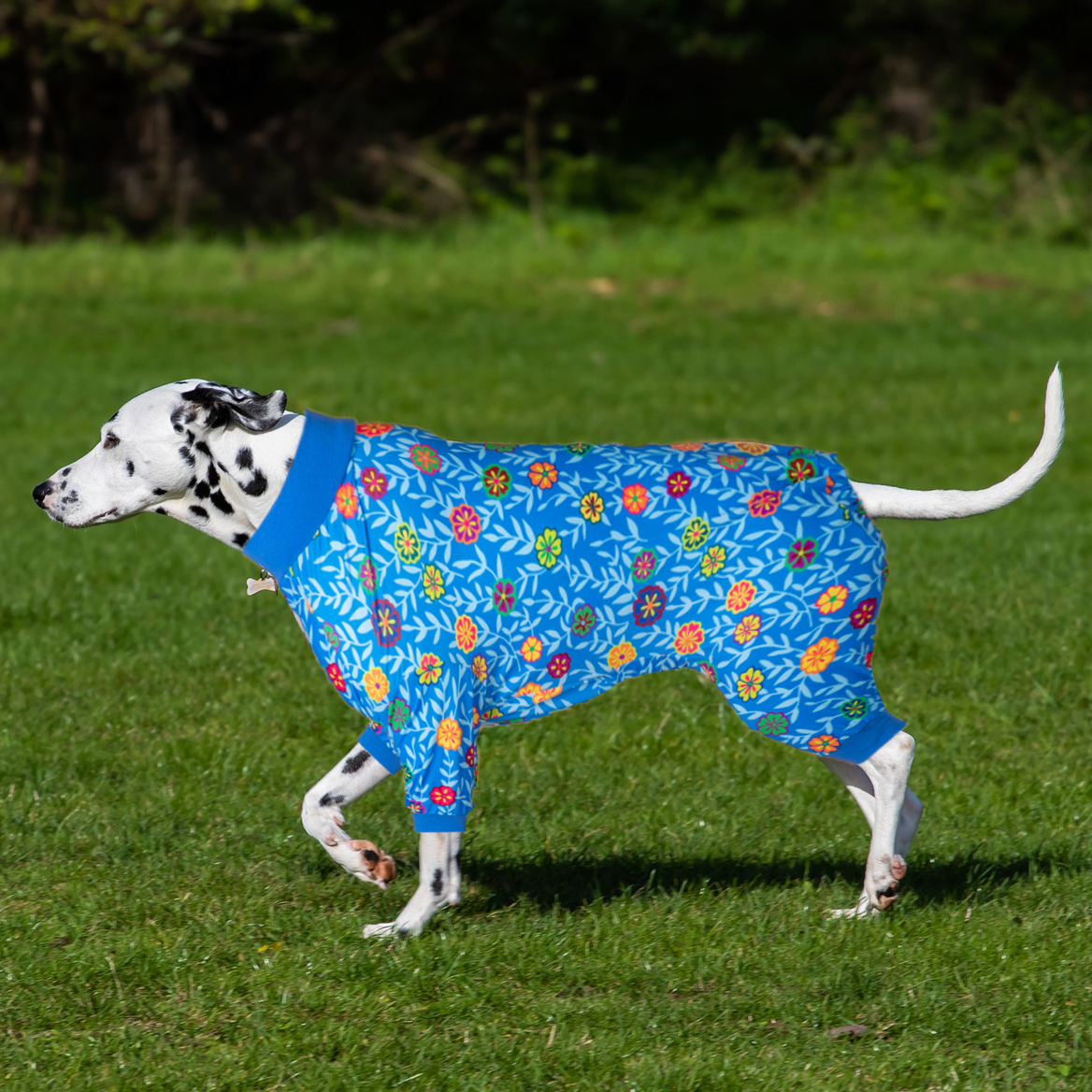 LovinPet Large Dog Post Recovery Suit - Colorful Floral Design on Blue Background