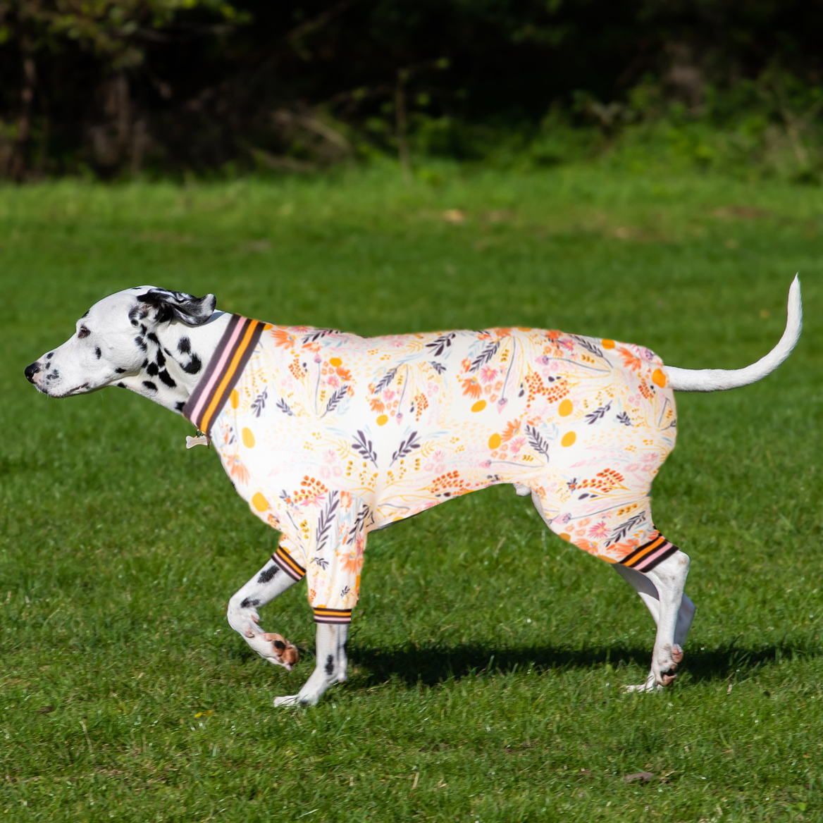 LovinPet Large Dog Pajamas Onesie - Autumn Floral Sleepwear with Gold Accents for Big Dogs