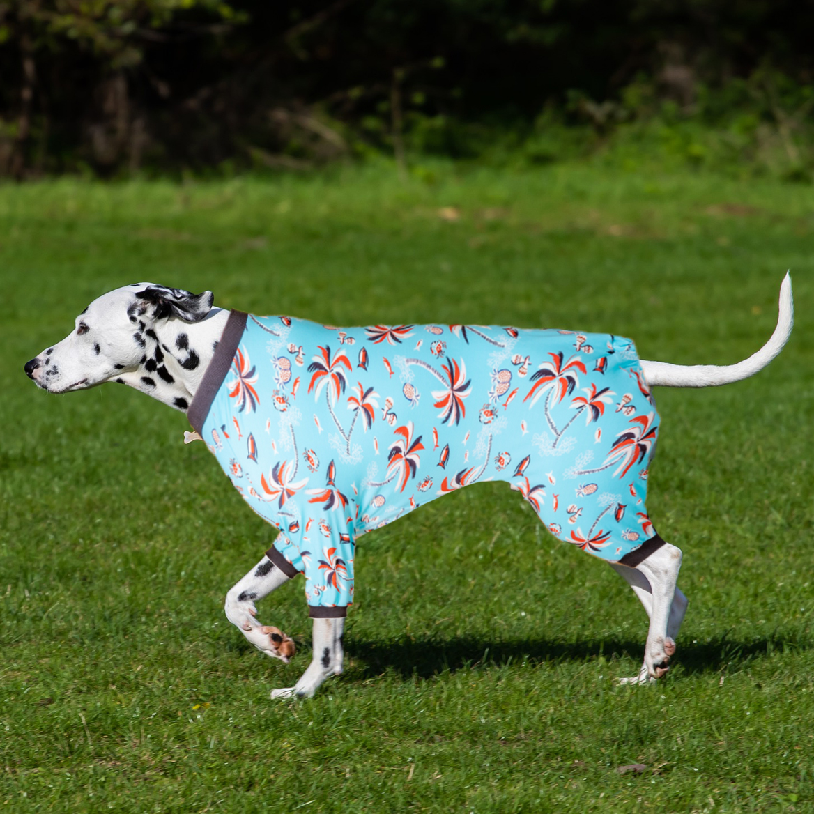 LovinPet Large Dog Pajamas Onesie - Abstract Floral Sleepwear for Big Dogs