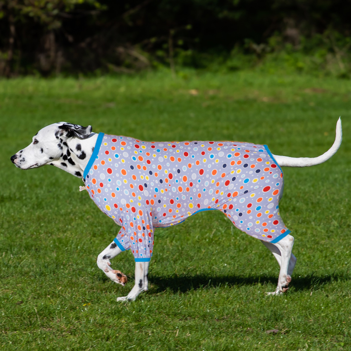 Full-Body Dog Recovery Onesie Pajama - Grey Polka Dot Design