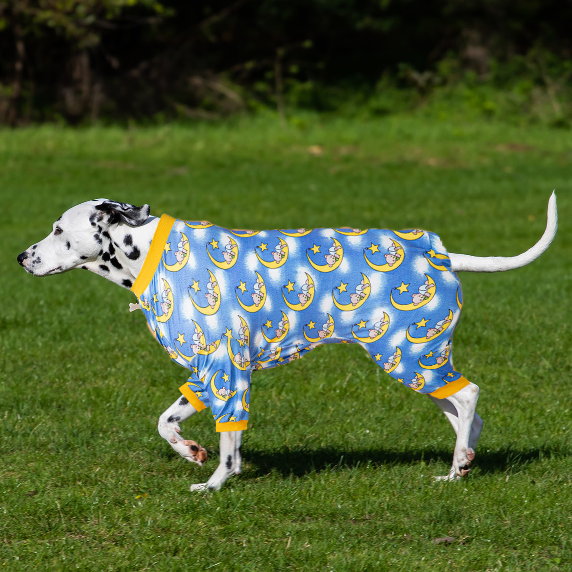 Breathable Dog Recovery Suit Full-Coverage Post-Surgery Protection