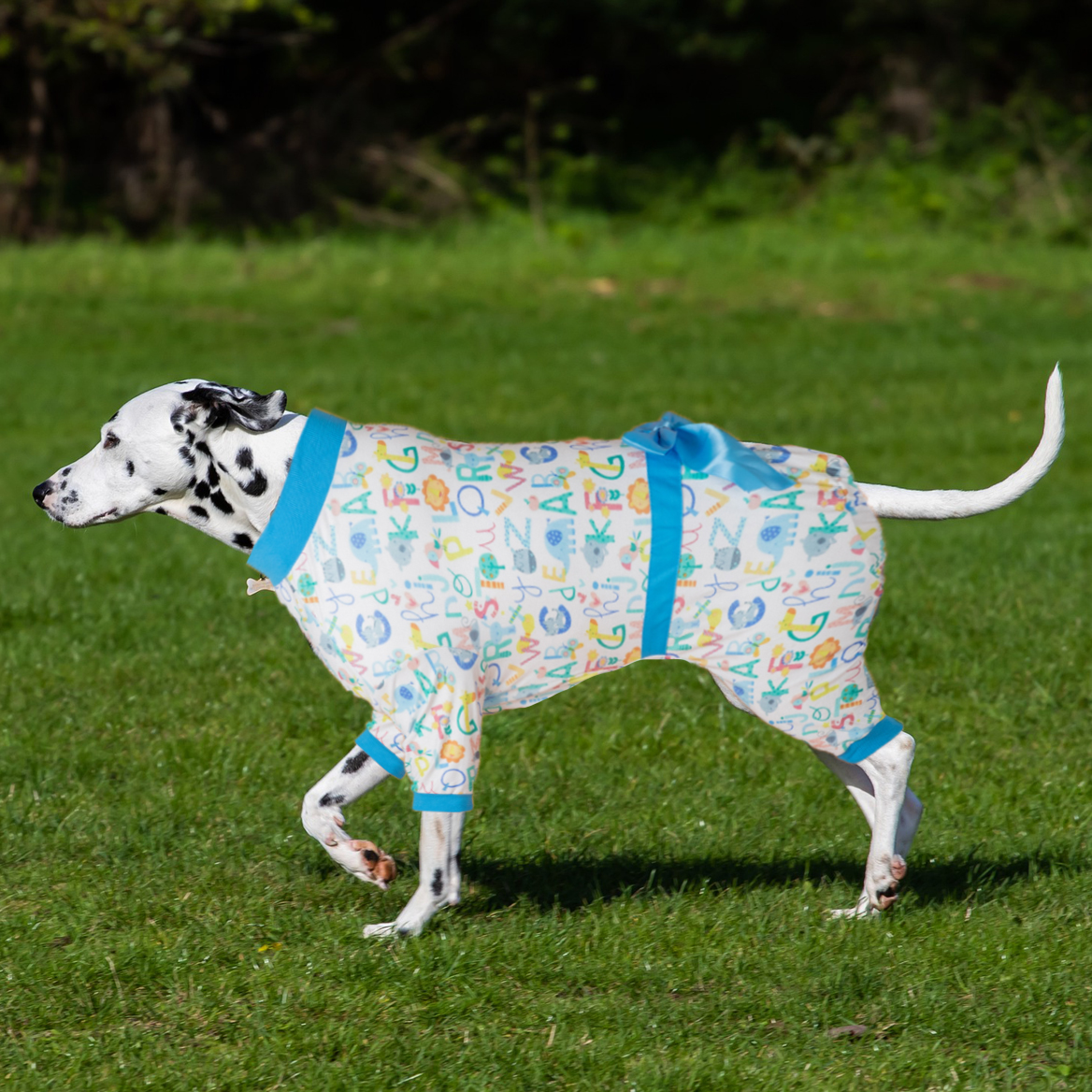 LovinPet Large Dog Pajamas Onesie with Skirt Tie - Alphabet & Animal Print Design