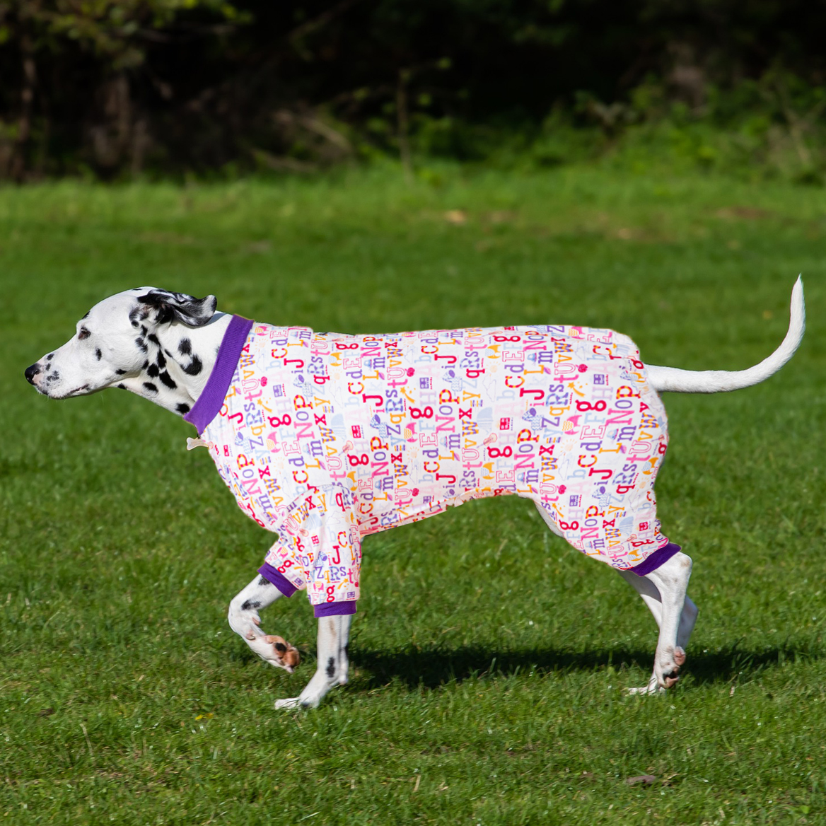 LovinPet Large Dog Pajamas Onesie - Playful Alphabet Pattern