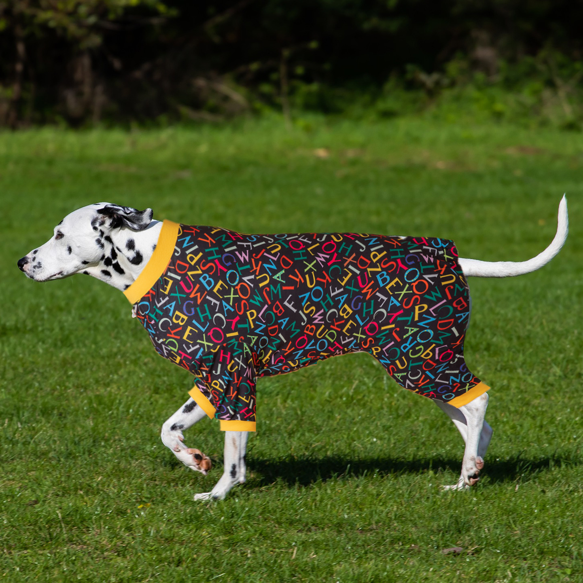 LovinPet Large Dog Pajamas Onesie - Vibrant Alphabet Pattern on Black