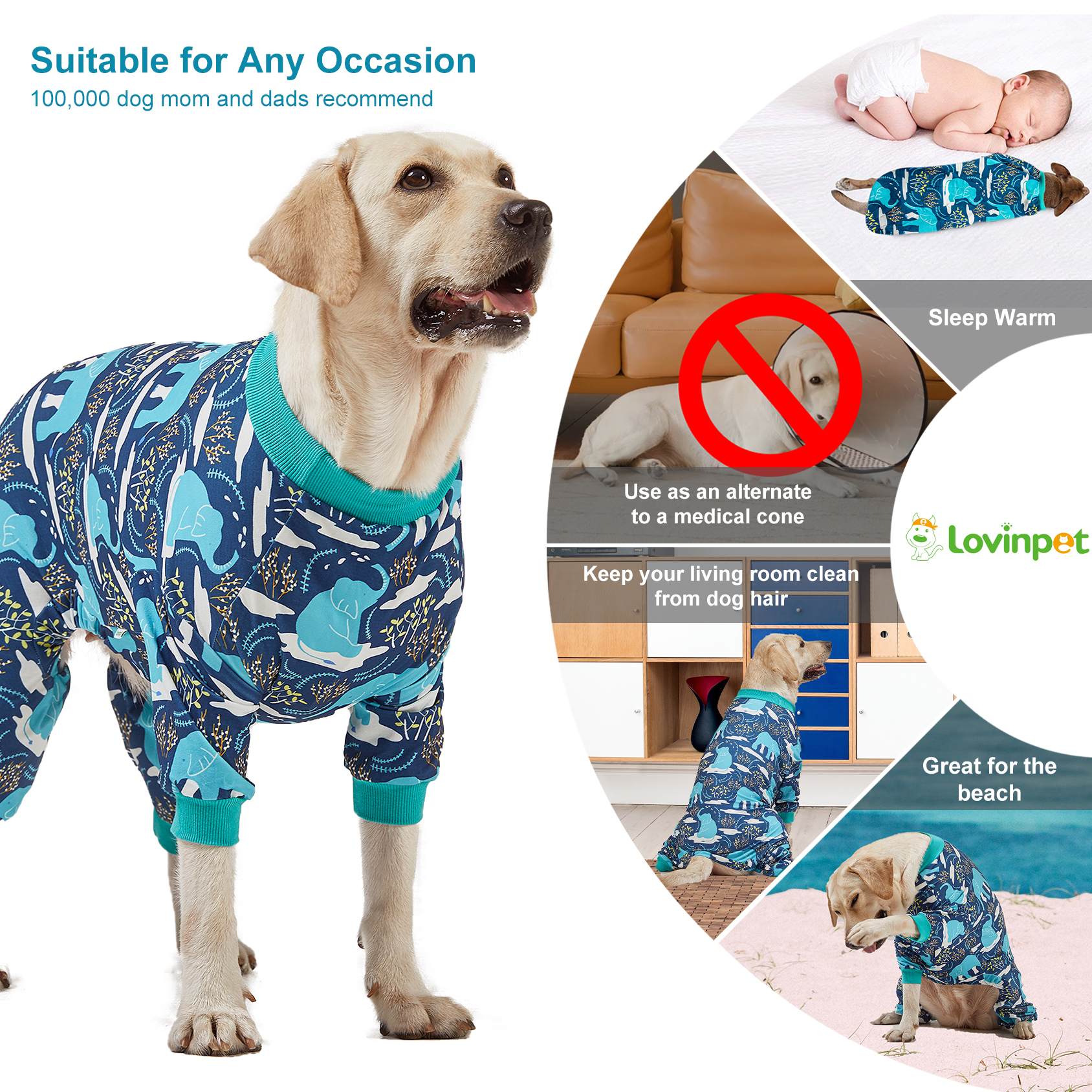 LovinPet Large Dog Post Recovery Suit - Blue Nature Animals Pattern