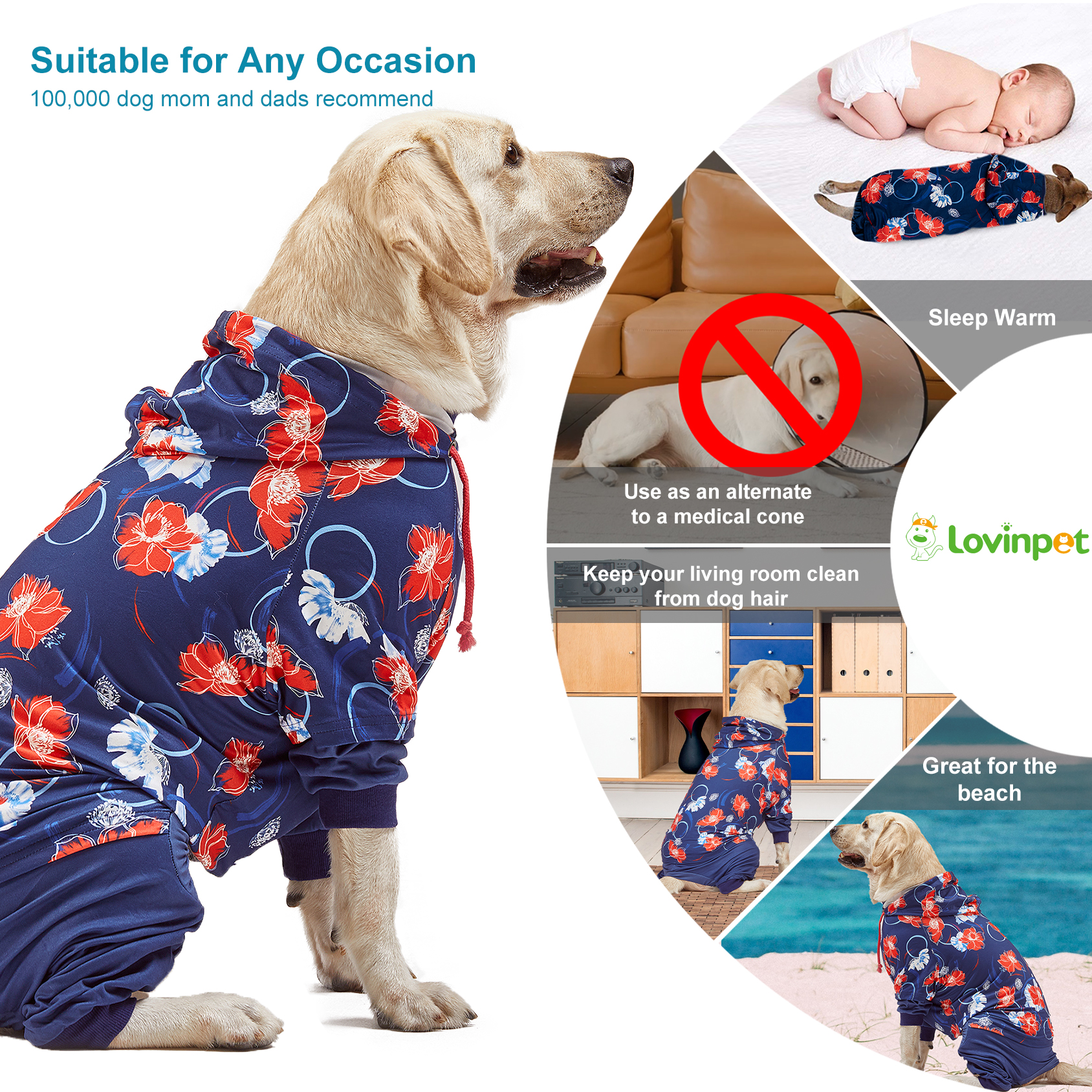 LovinPet Large Dog Post Recovery Suit - Bold Peony Floral Hoodie Design