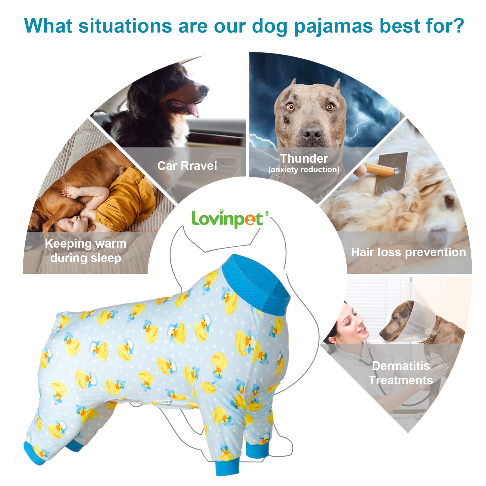 LovinPet Large Dog Pajama - Cute Duck Print with Blue Trim
