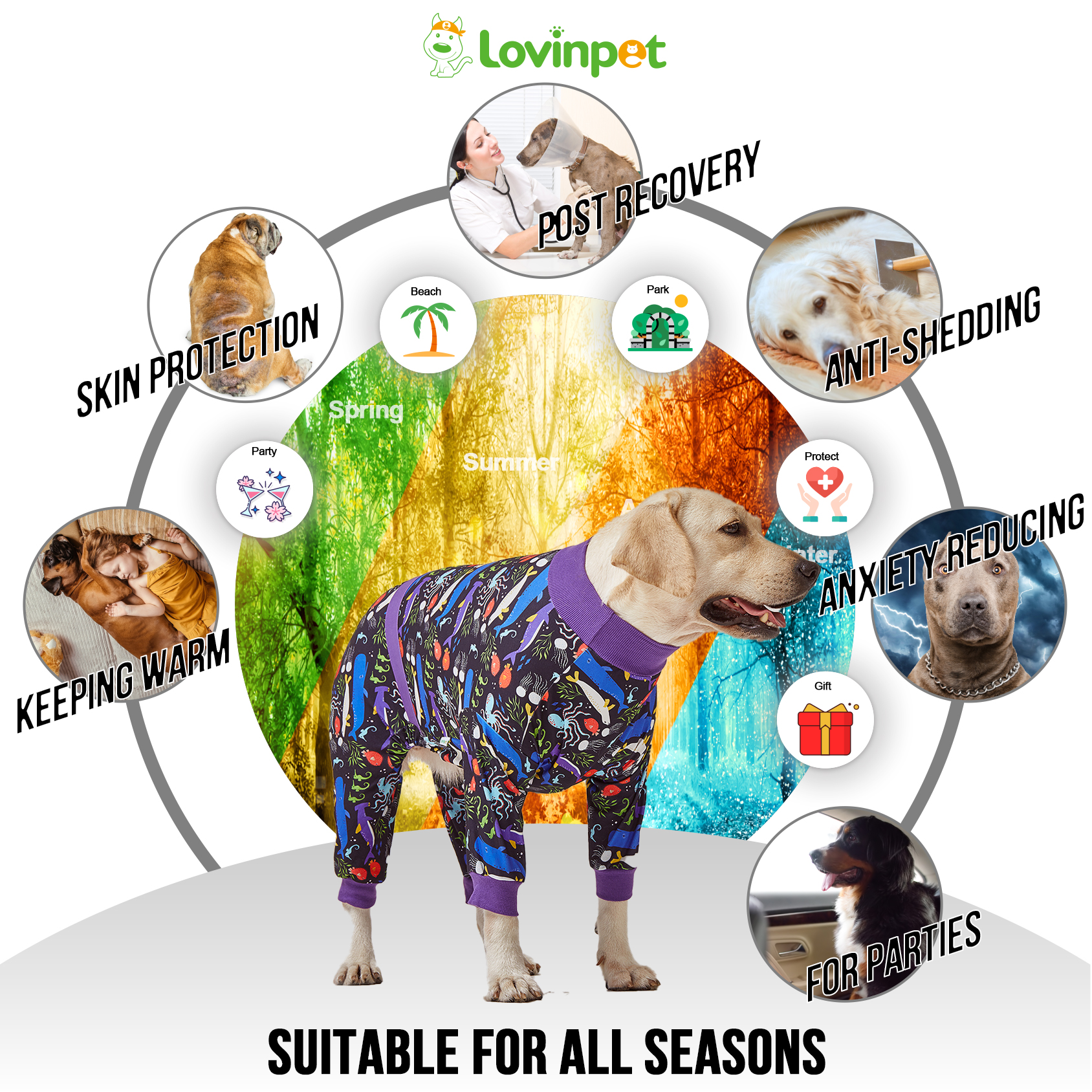 LovinPet Large Big Dog Pajamas - Post Operative etc.