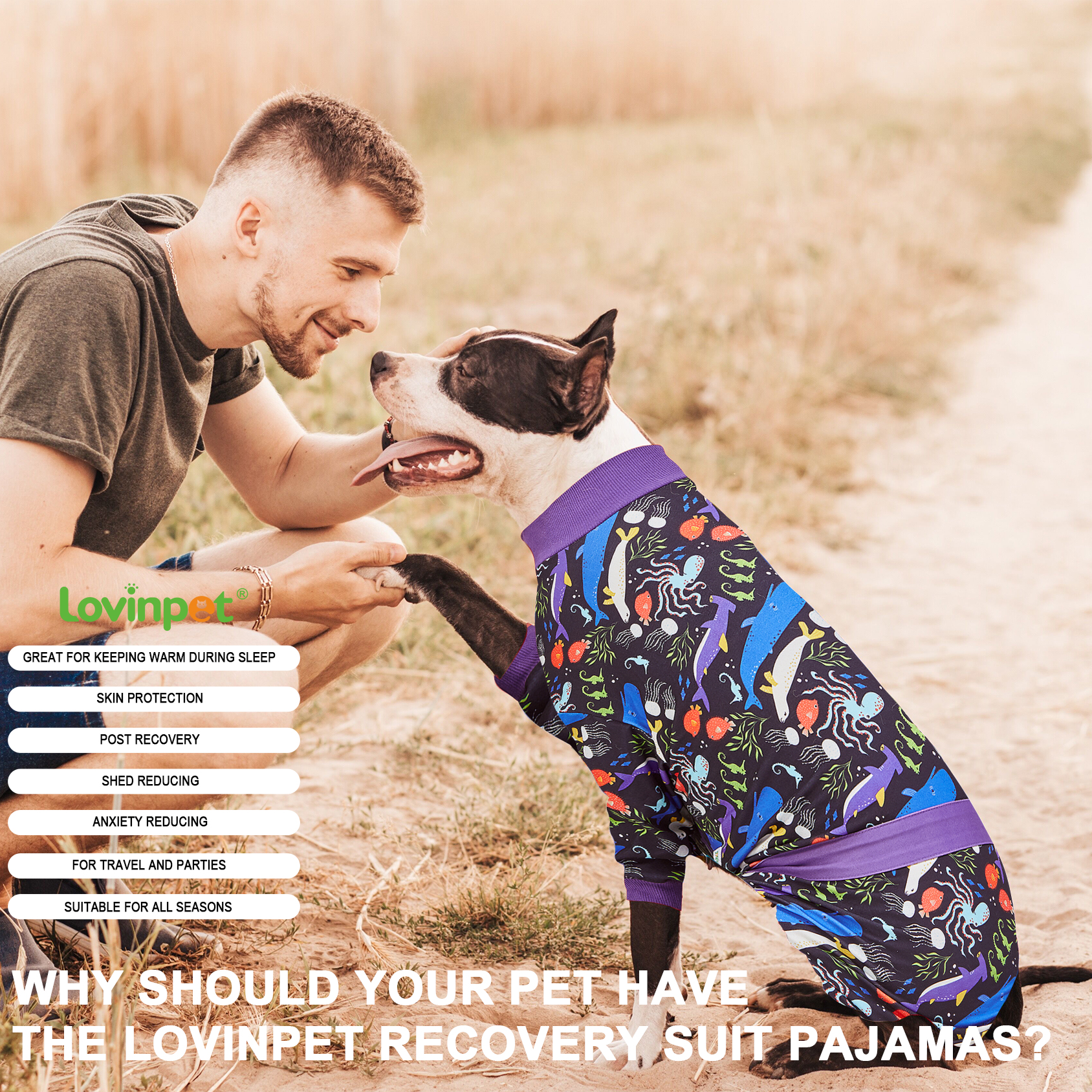 LovinPet Large Big Dog Pajamas - Post Operative etc.