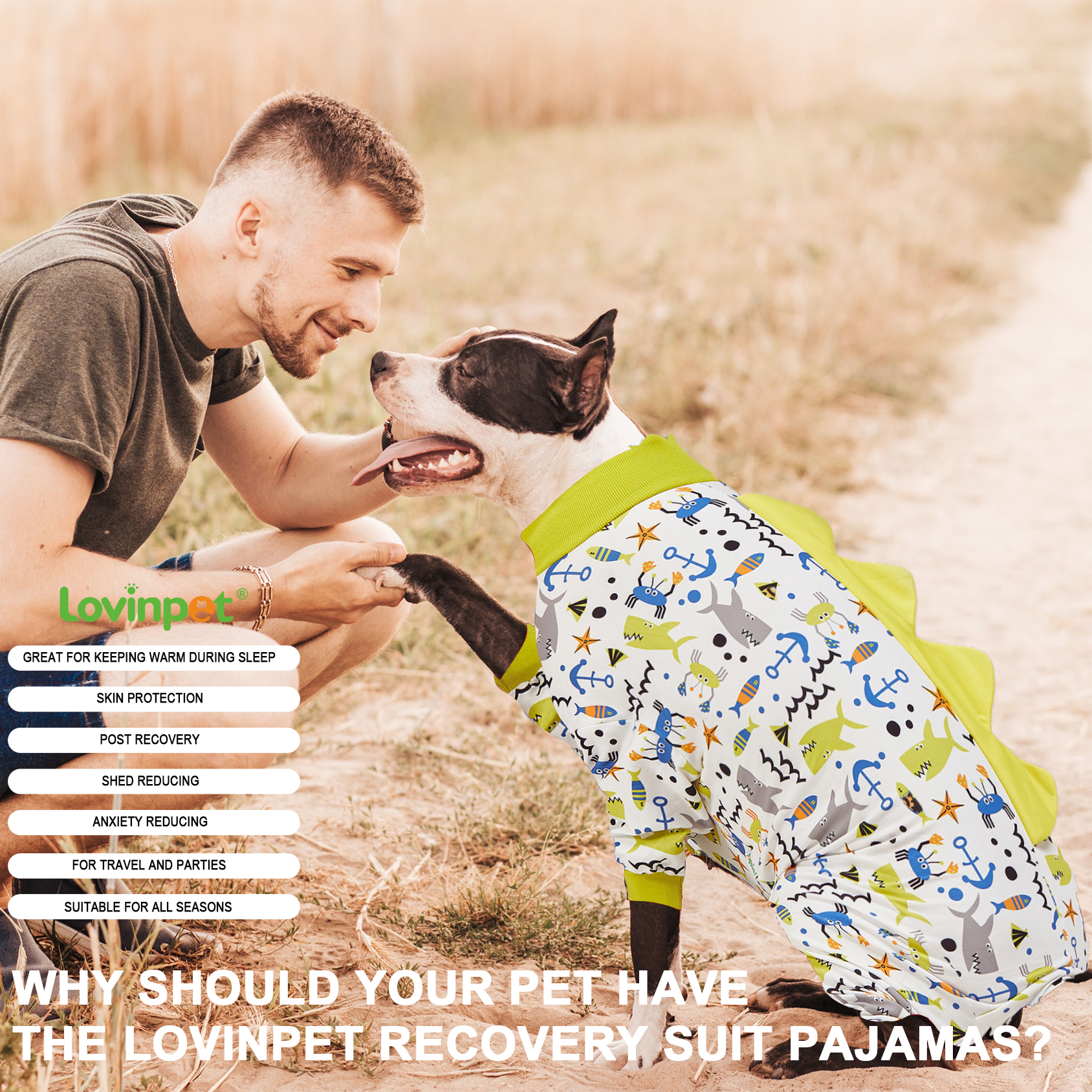 LovinPet Large Dog Pajama - Dino Sea Adventure with Spikes