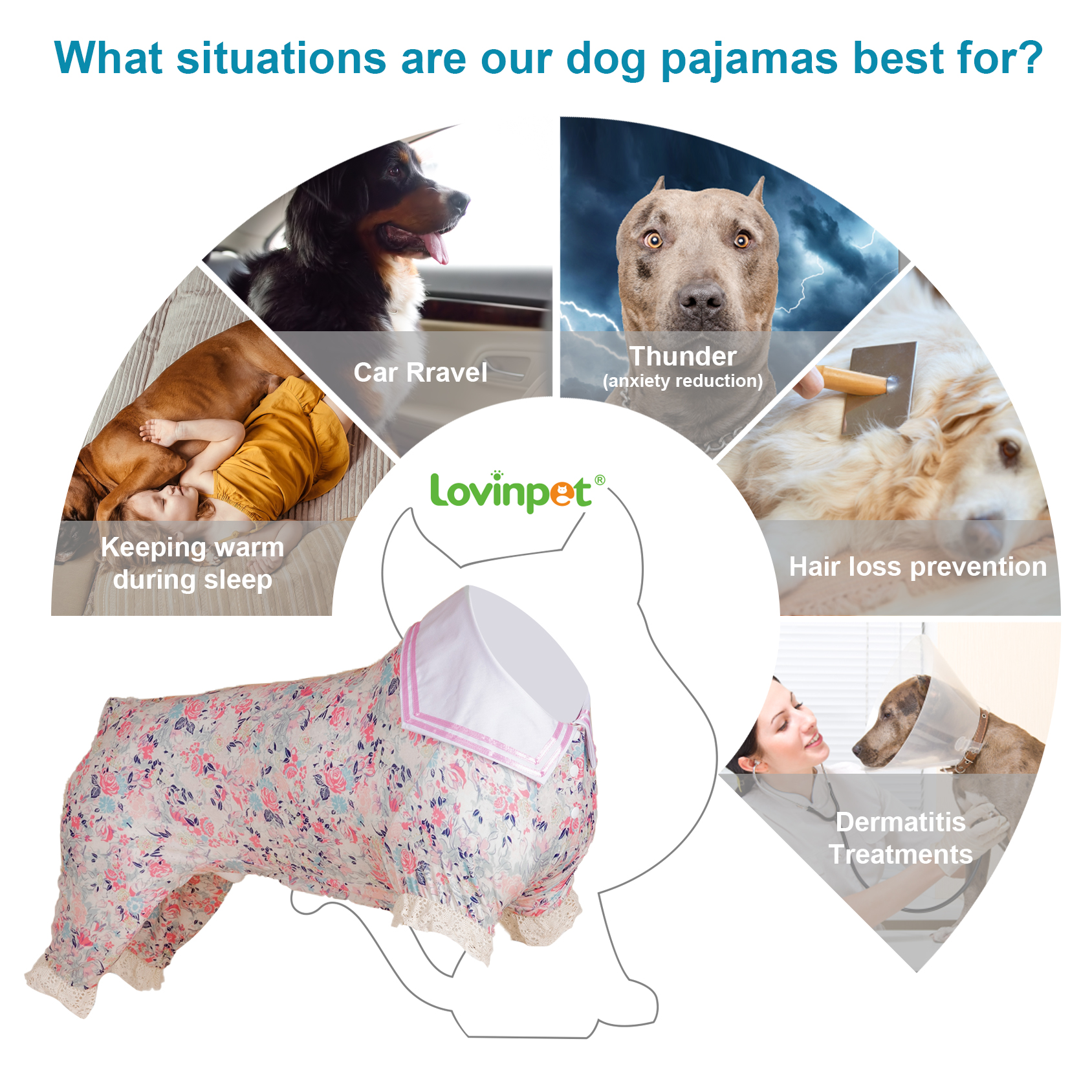 Large Dog Recovery Onesie Pajama for Post-Surgery Comfort - Elegant Floral