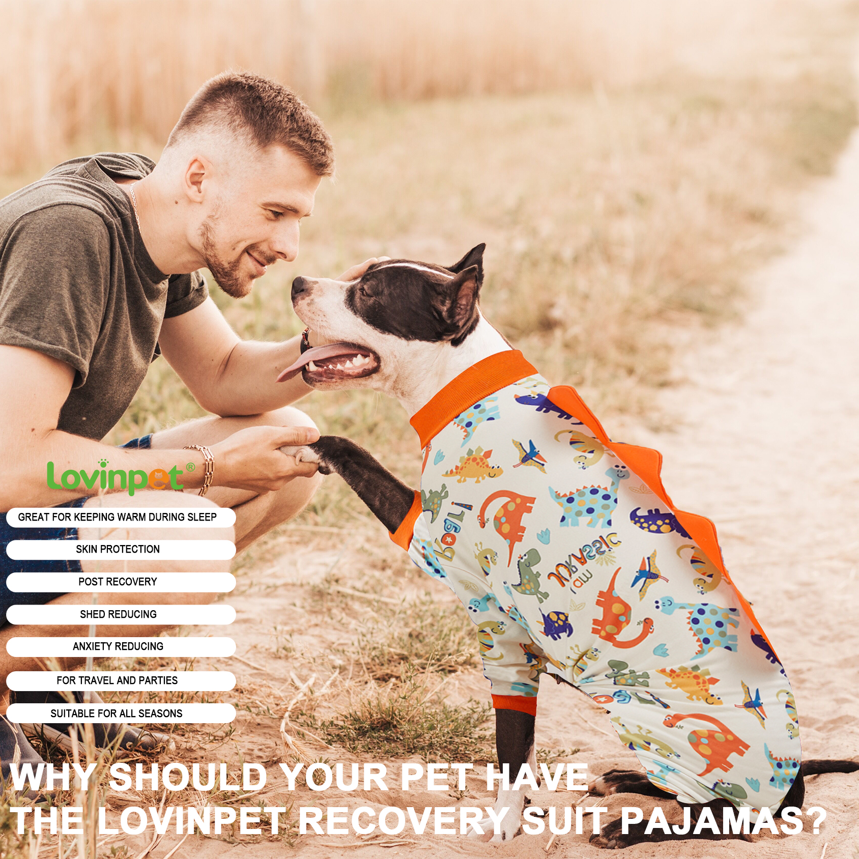 LovinPet Large Dog Pajama - Playful Dinosaur Print with Spikes