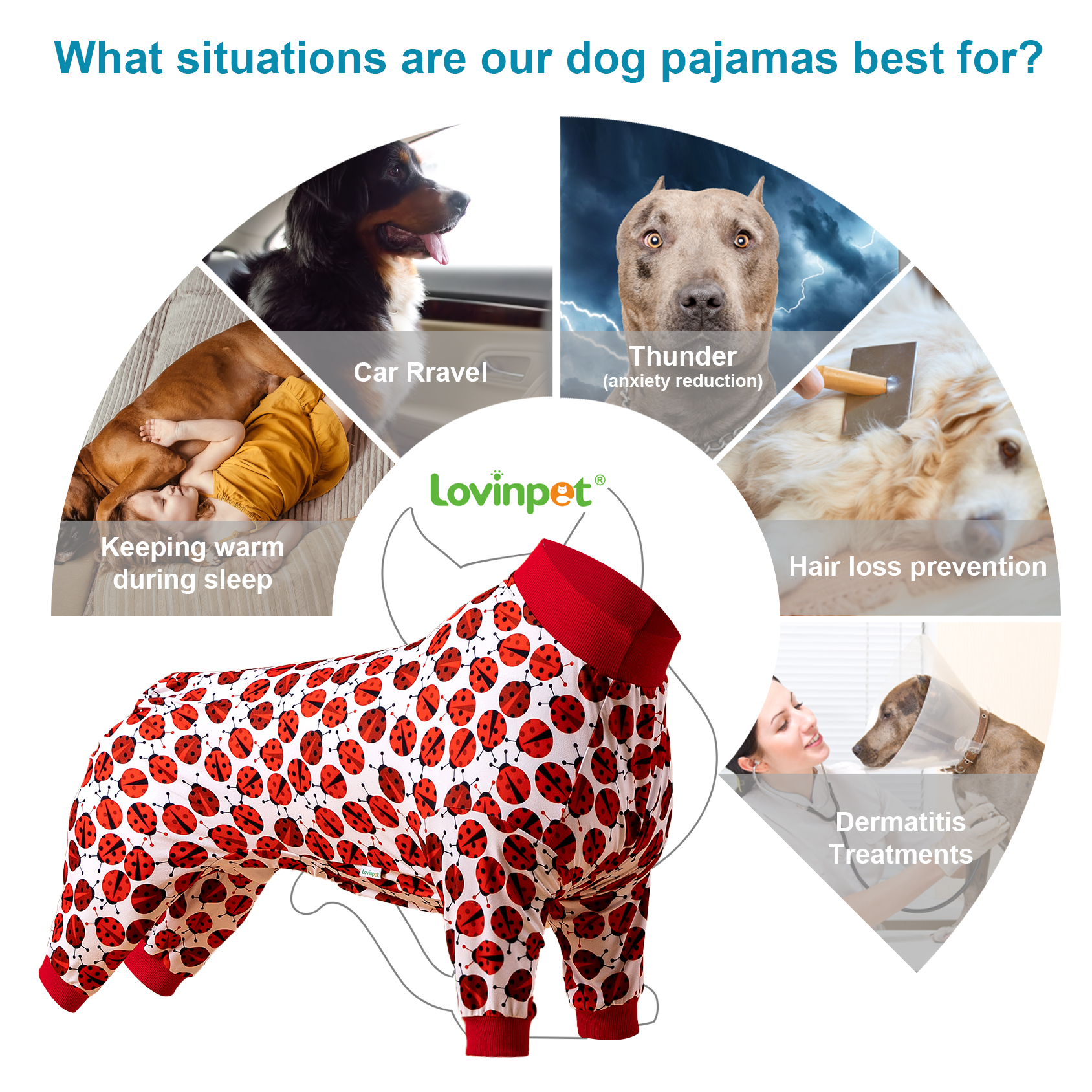 LovinPet Large Dog Pajamas Onesie - Playful Ladybug Design with Red Trim