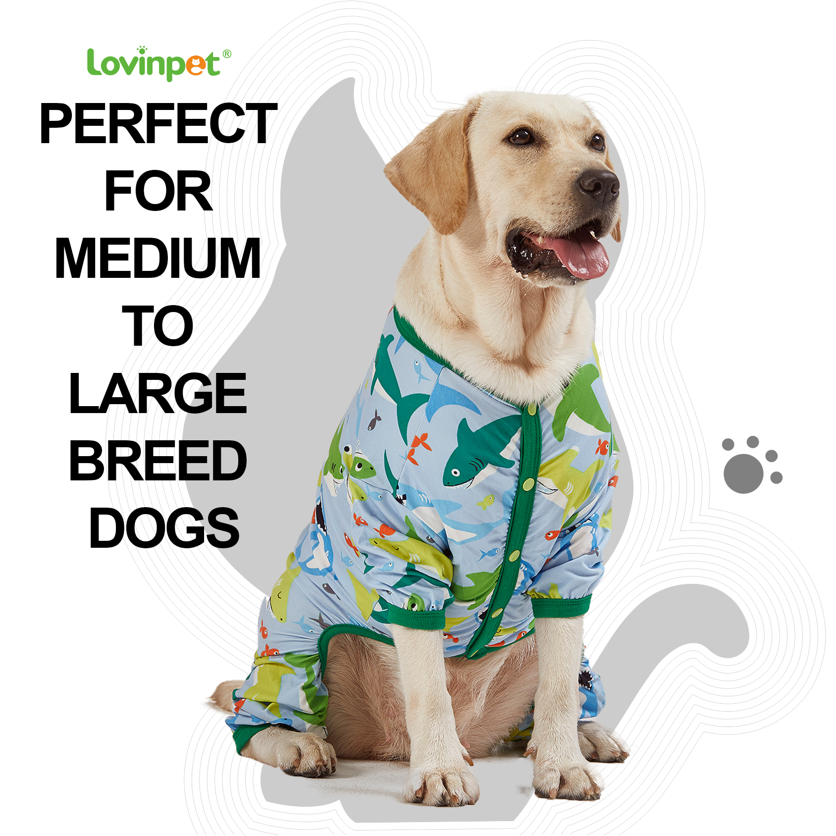 LovinPet Surgical Recovery Shirt for Large Dogs - Shark Print with Full-Body Protection