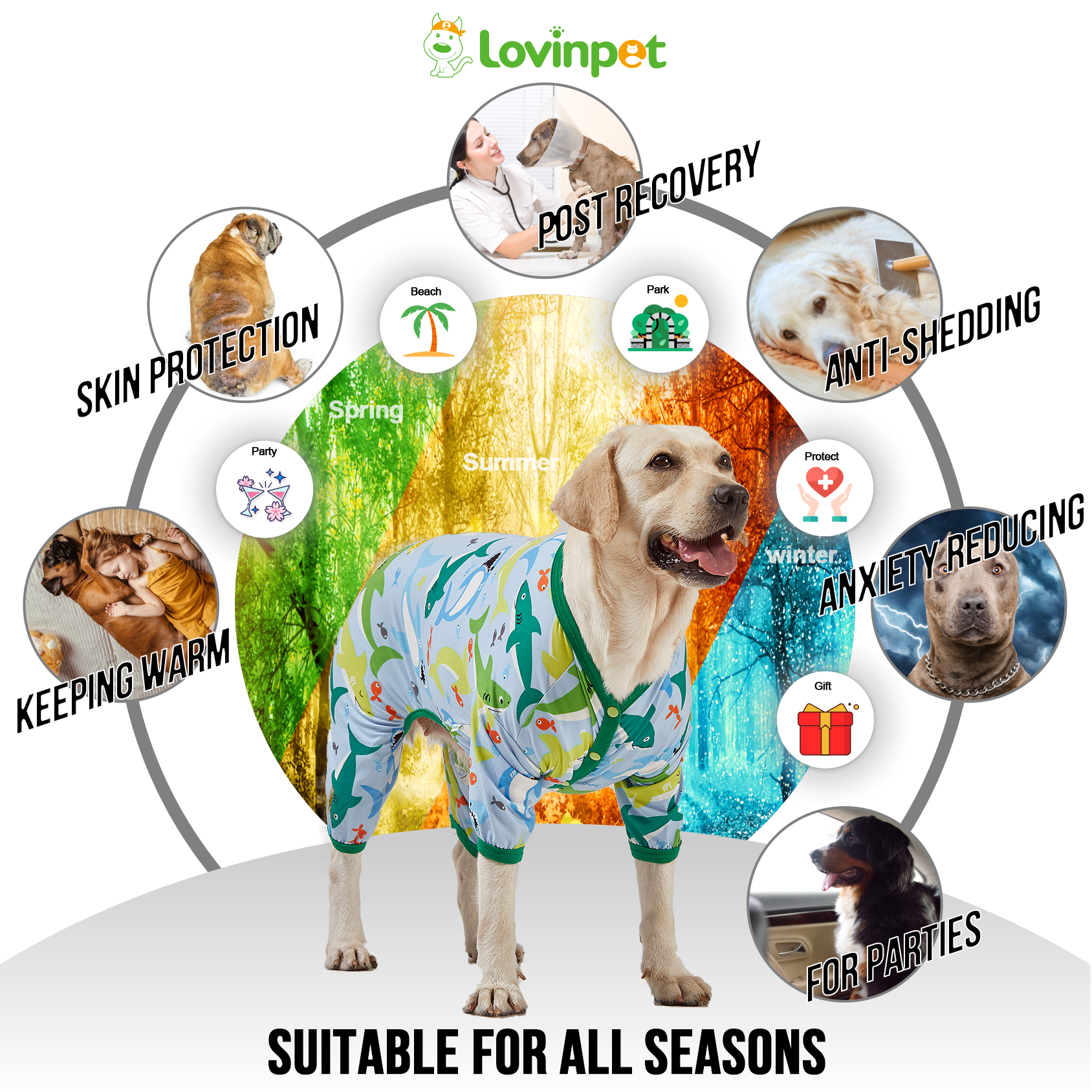 LovinPet Surgical Recovery Shirt for Large Dogs - Shark Print with Full-Body Protection