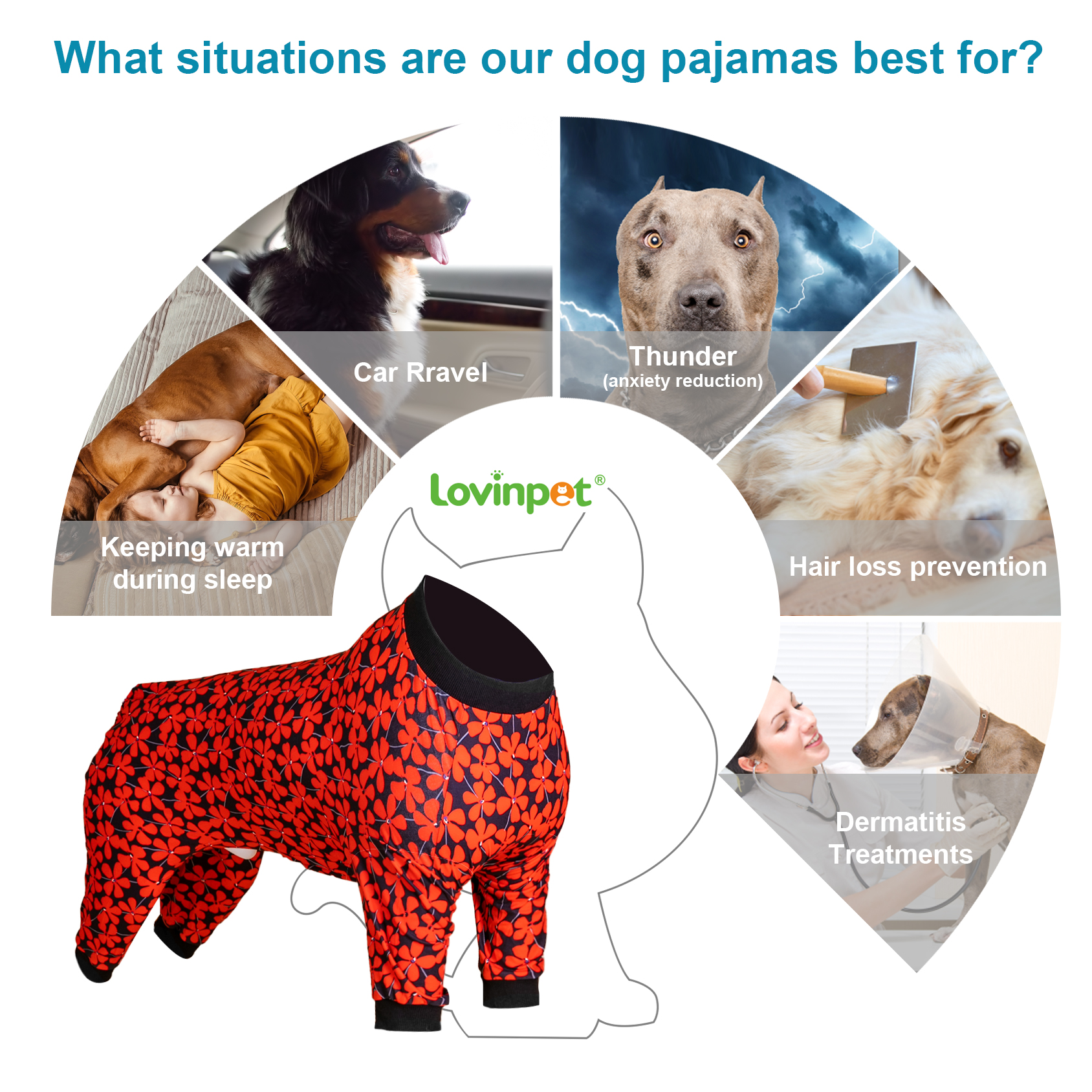 LovinPet Large Dog Pajamas Onesie - Bold Red Floral Design on Black Background