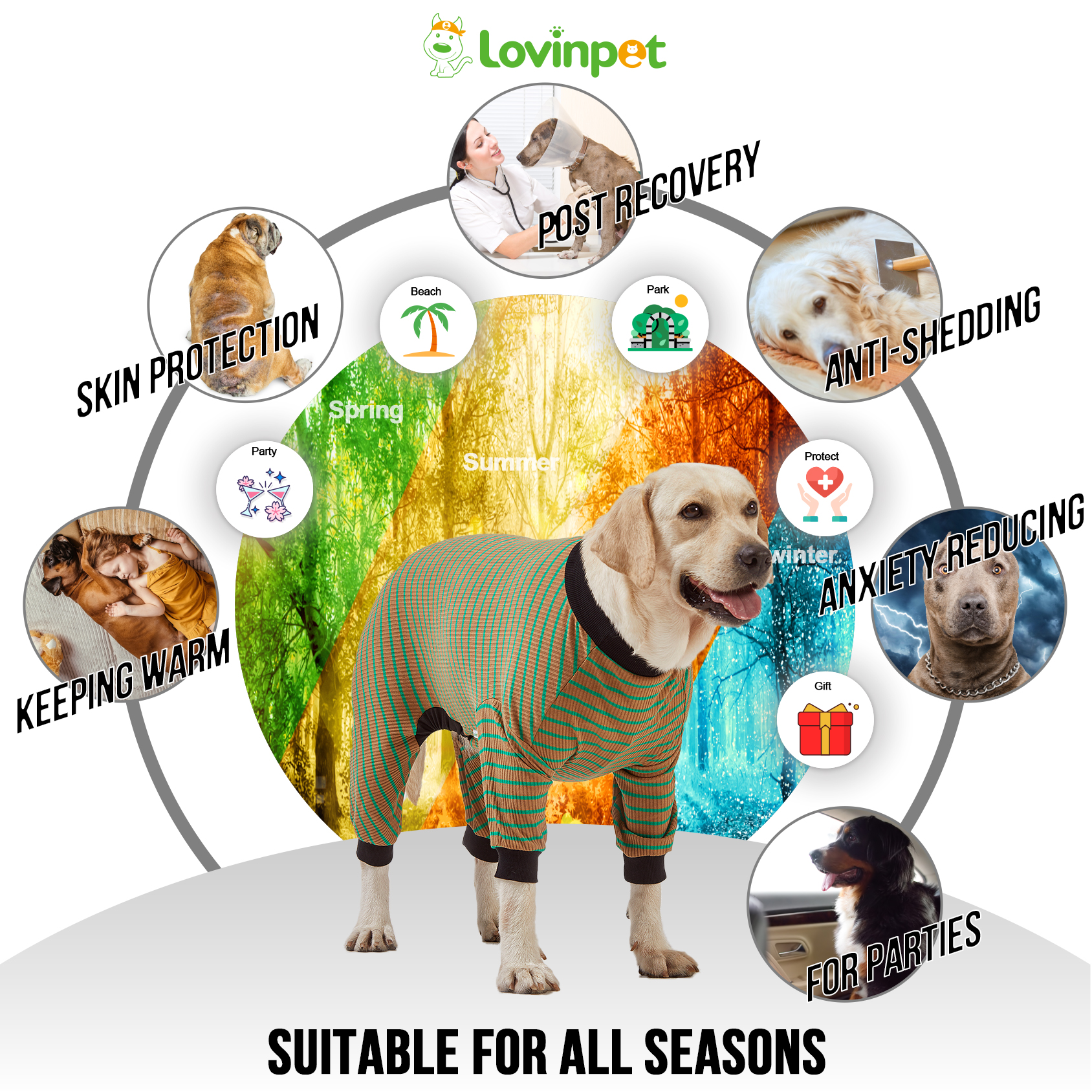 LovinPet Dog Knee Surgery Onesie - Green Striped Design