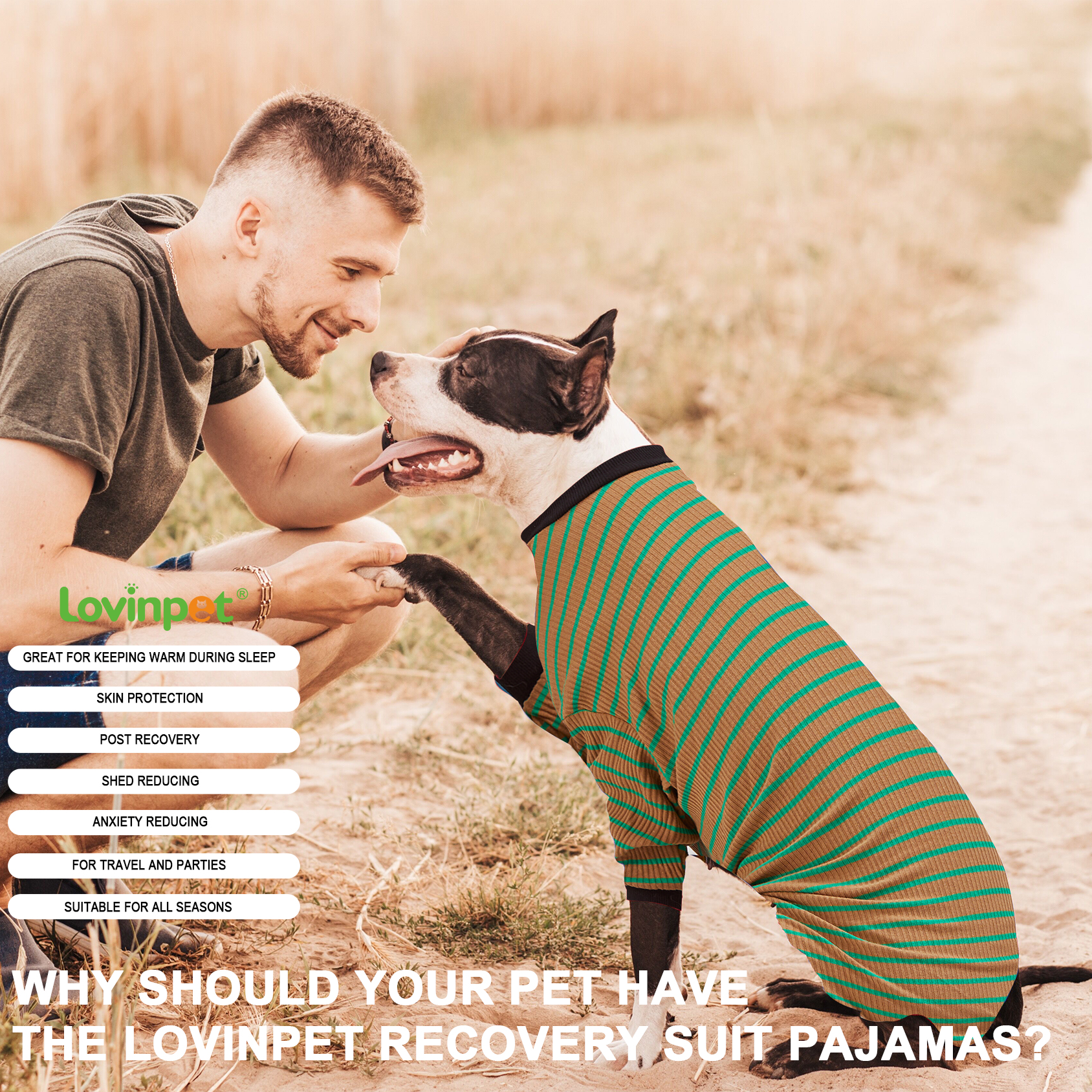 LovinPet Dog Knee Surgery Onesie - Green Striped Design