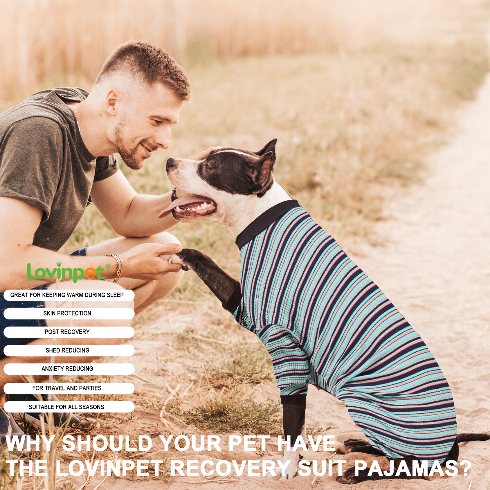 LovinPet Big Dog Pajama Onesie - Blue Stripe Pattern