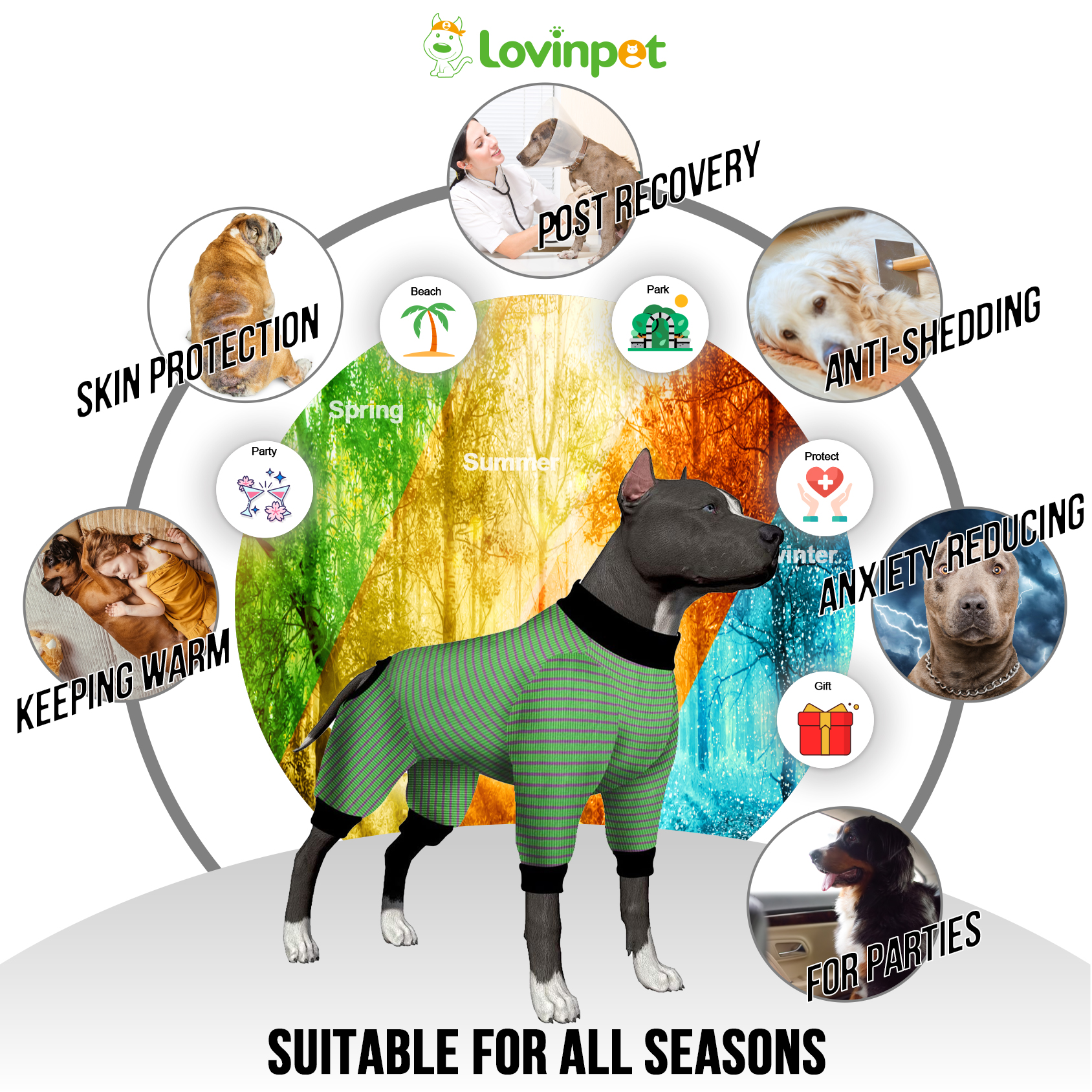 LovinPet Large Dog Pajamas Onesie - Green & Black Striped Design